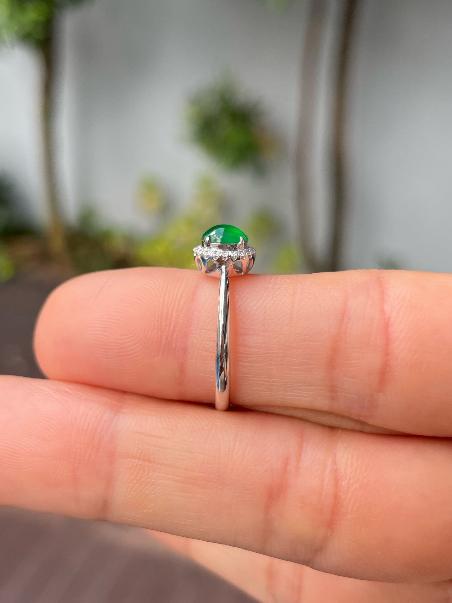Green Jadeite Cabochon Ring (NJR325)