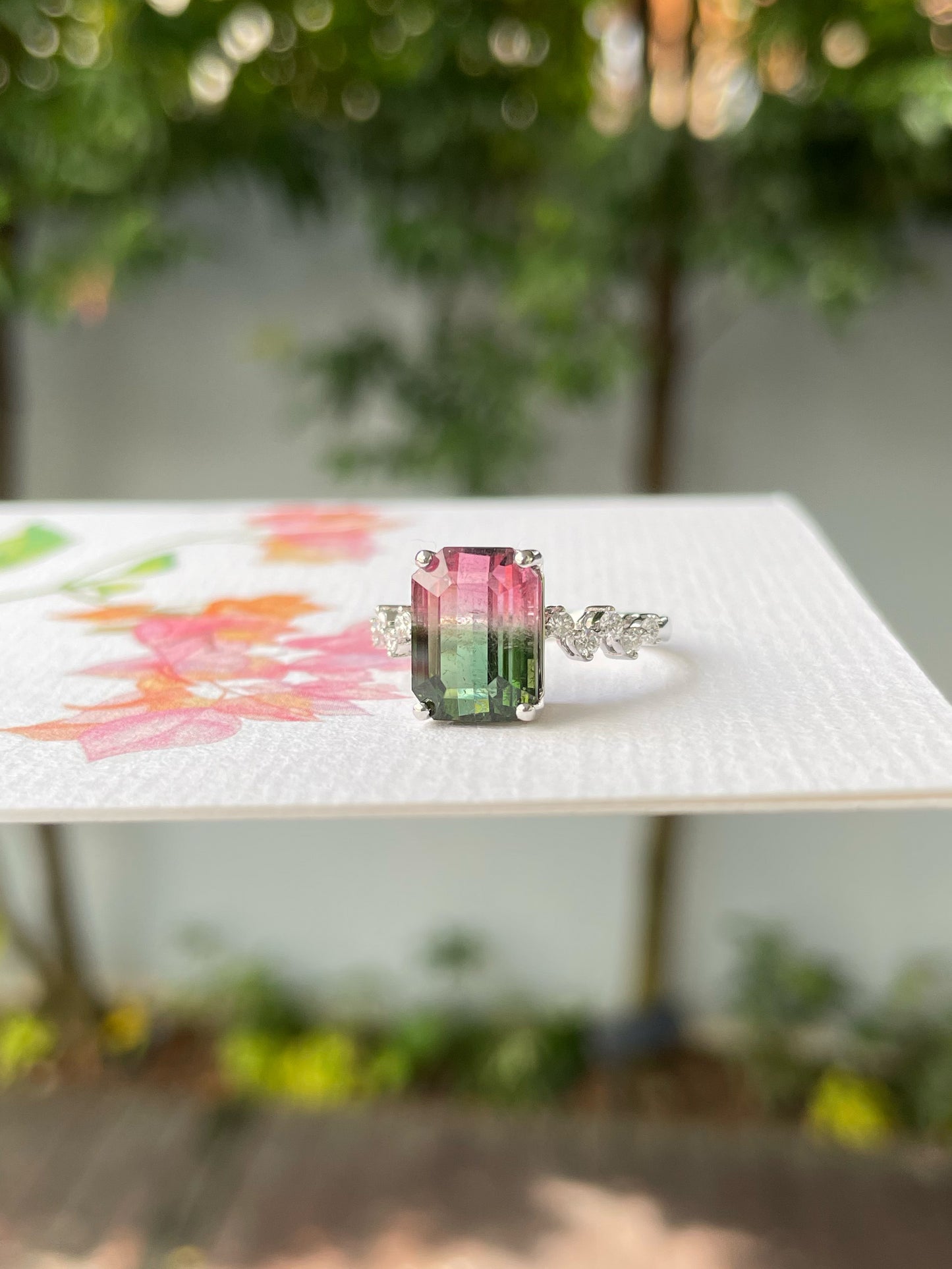 Watermelon Tourmaline Ring - 4.58CT (NJR326)