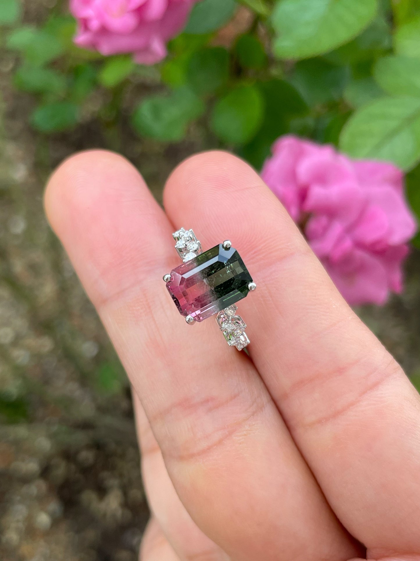 Watermelon Tourmaline Ring - 4.58CT (NJR326)