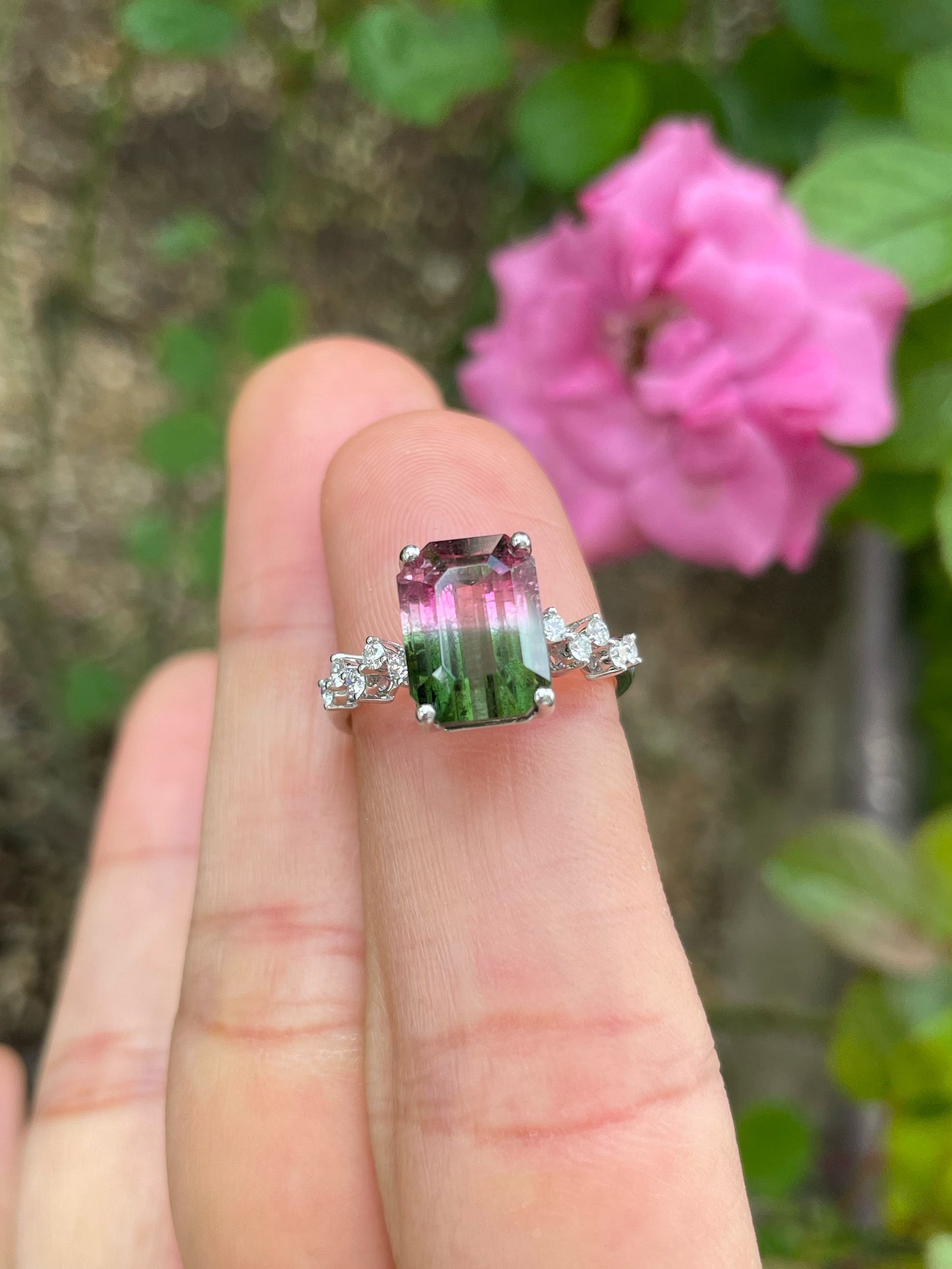 Watermelon Tourmaline Ring - 4.58CT (NJR326)