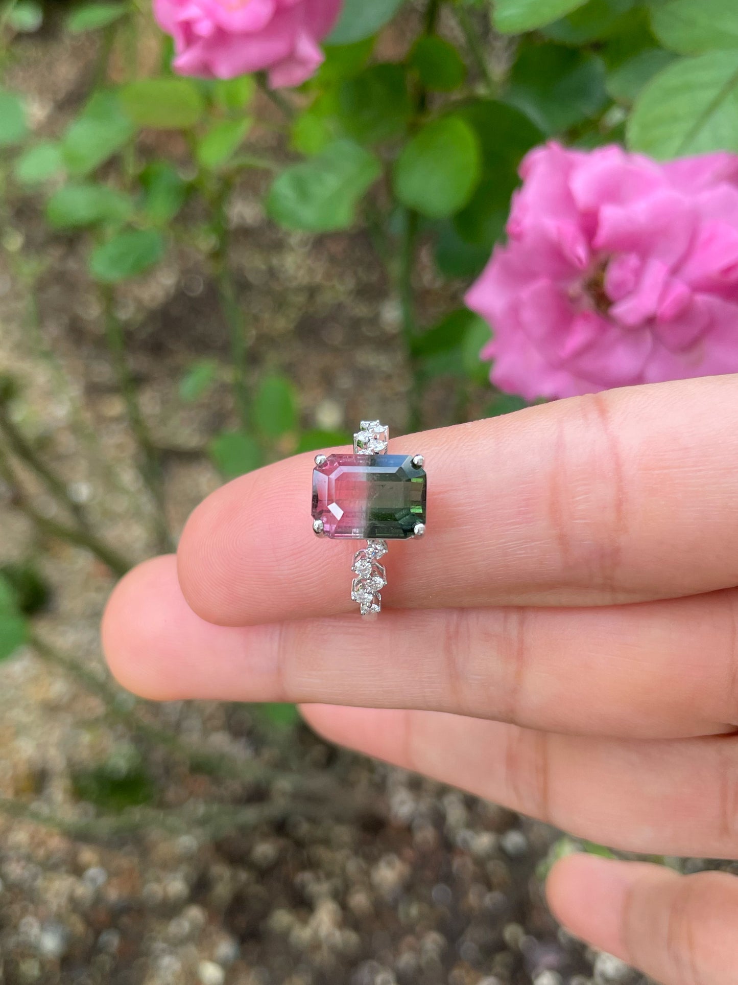 Watermelon Tourmaline Ring - 4.58CT (NJR326)