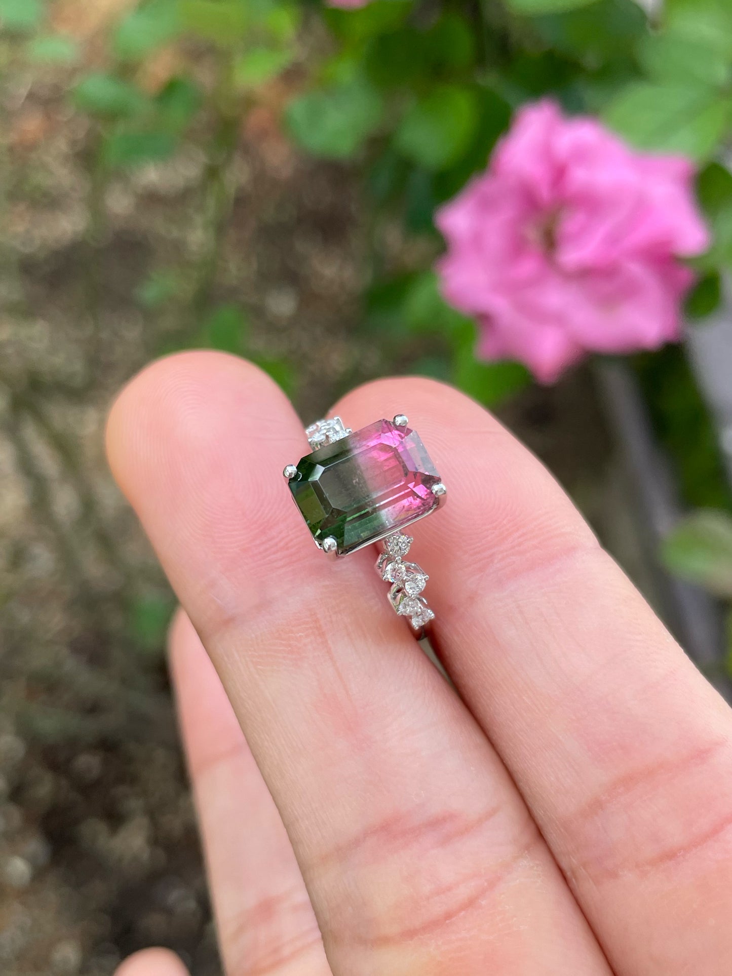 Watermelon Tourmaline Ring - 4.58CT (NJR326)