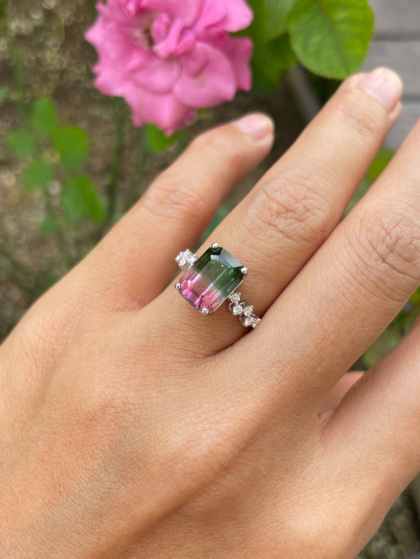 Watermelon Tourmaline Ring - 4.58CT (NJR326)