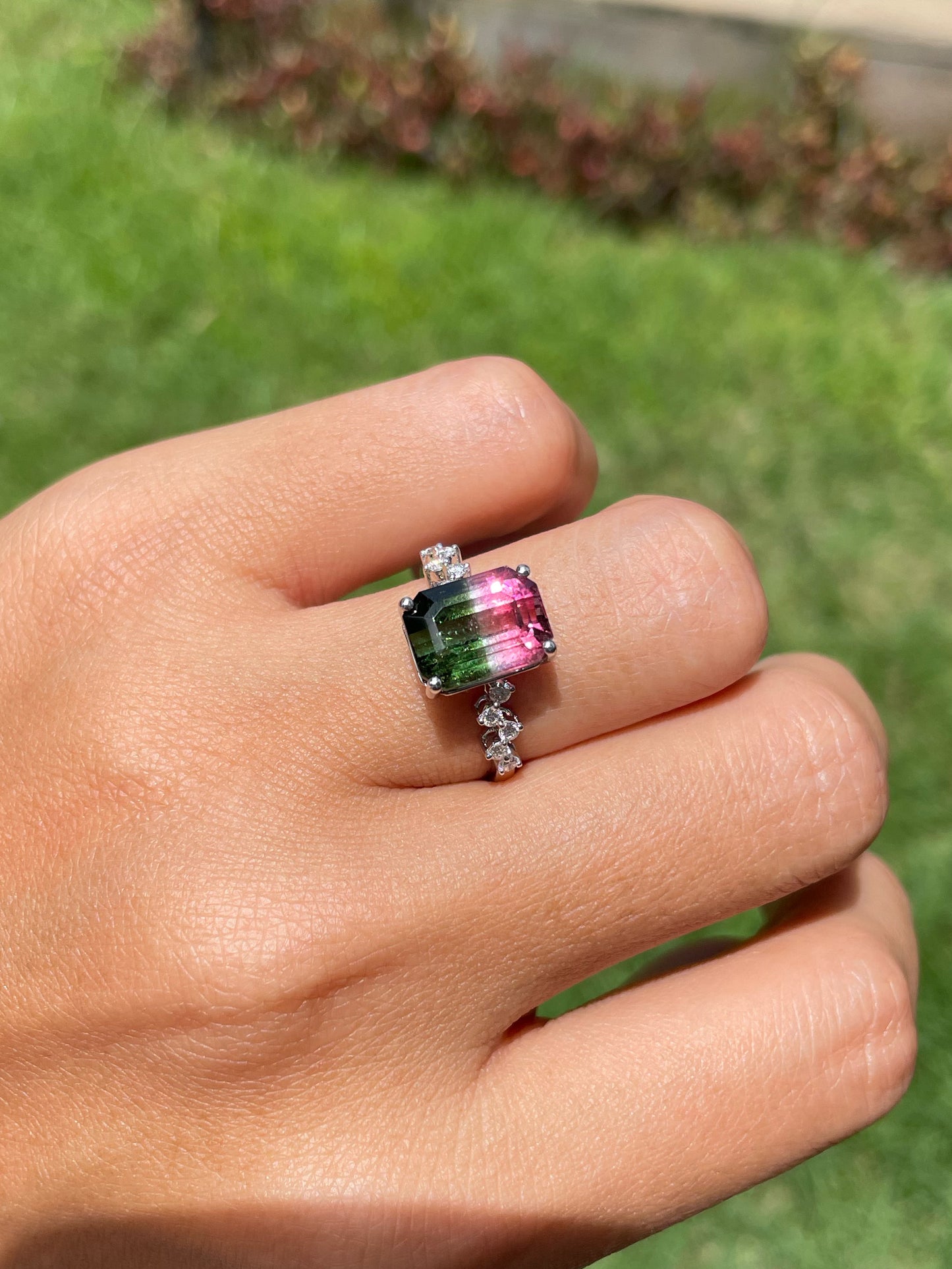 Watermelon Tourmaline Ring - 4.58CT (NJR326)