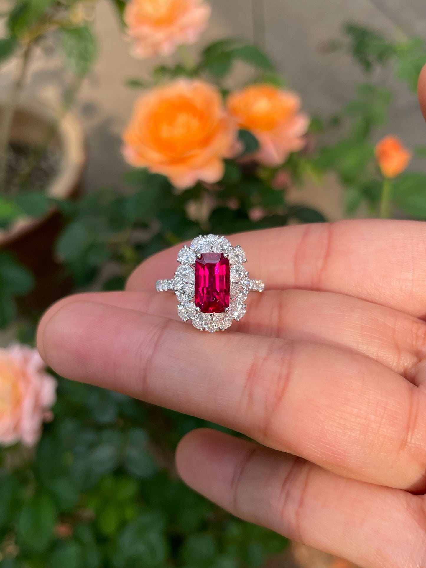 Unheated Ruby Ring - 2.51CT (NJR331)