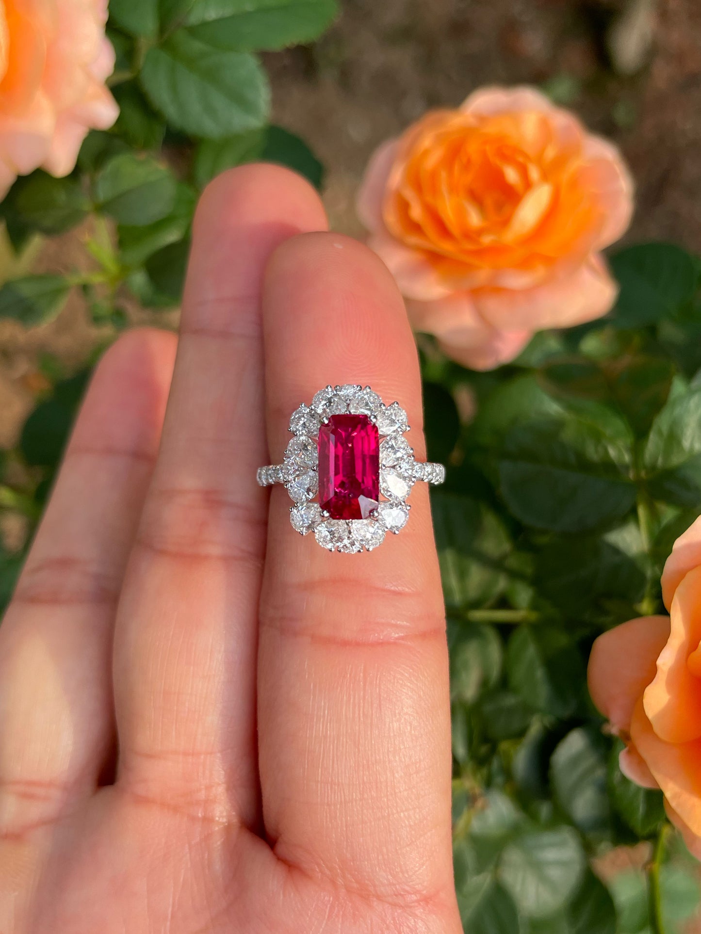 Unheated Ruby Ring - 2.51CT (NJR331)