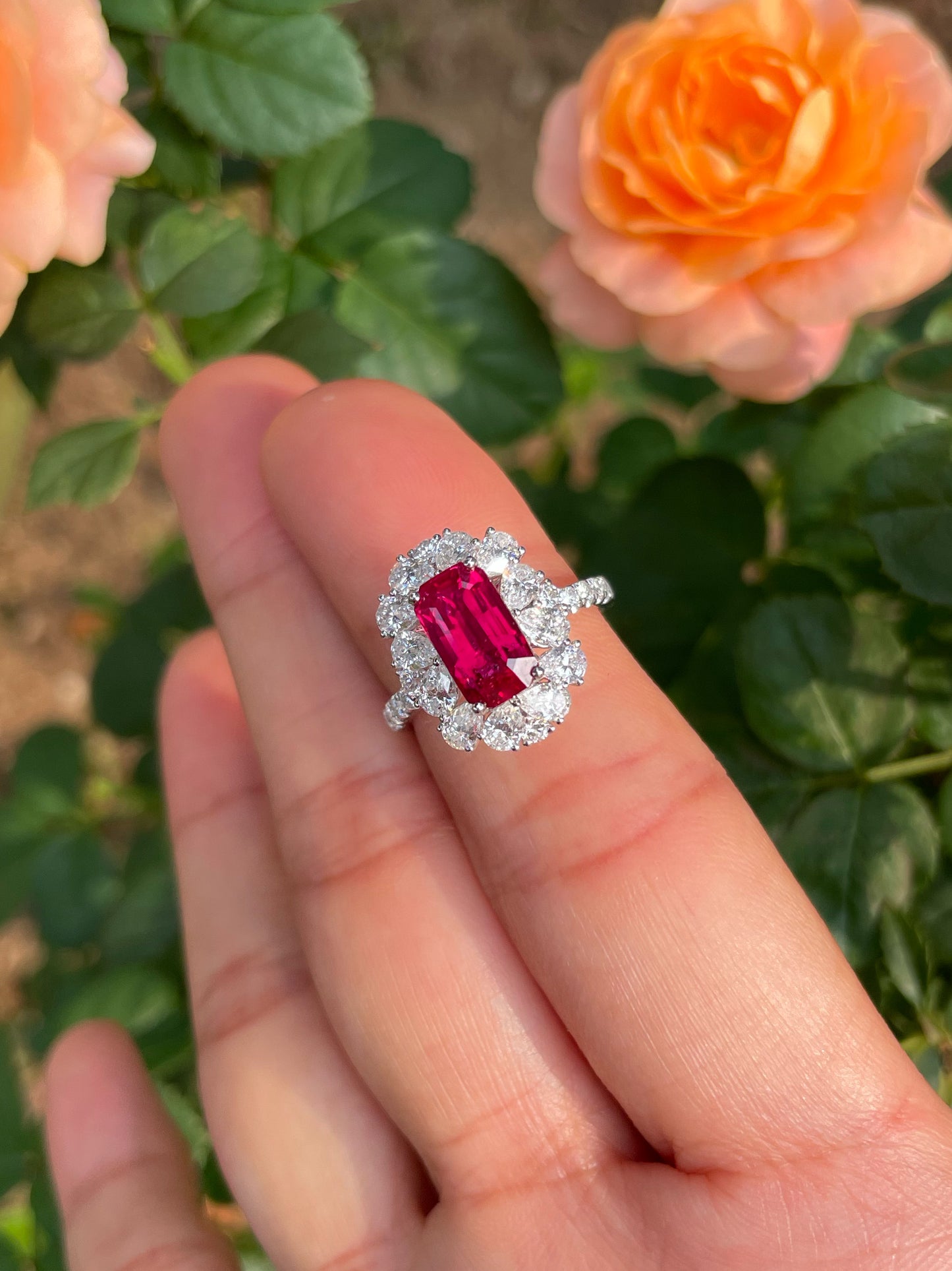 Unheated Ruby Ring - 2.51CT (NJR331)