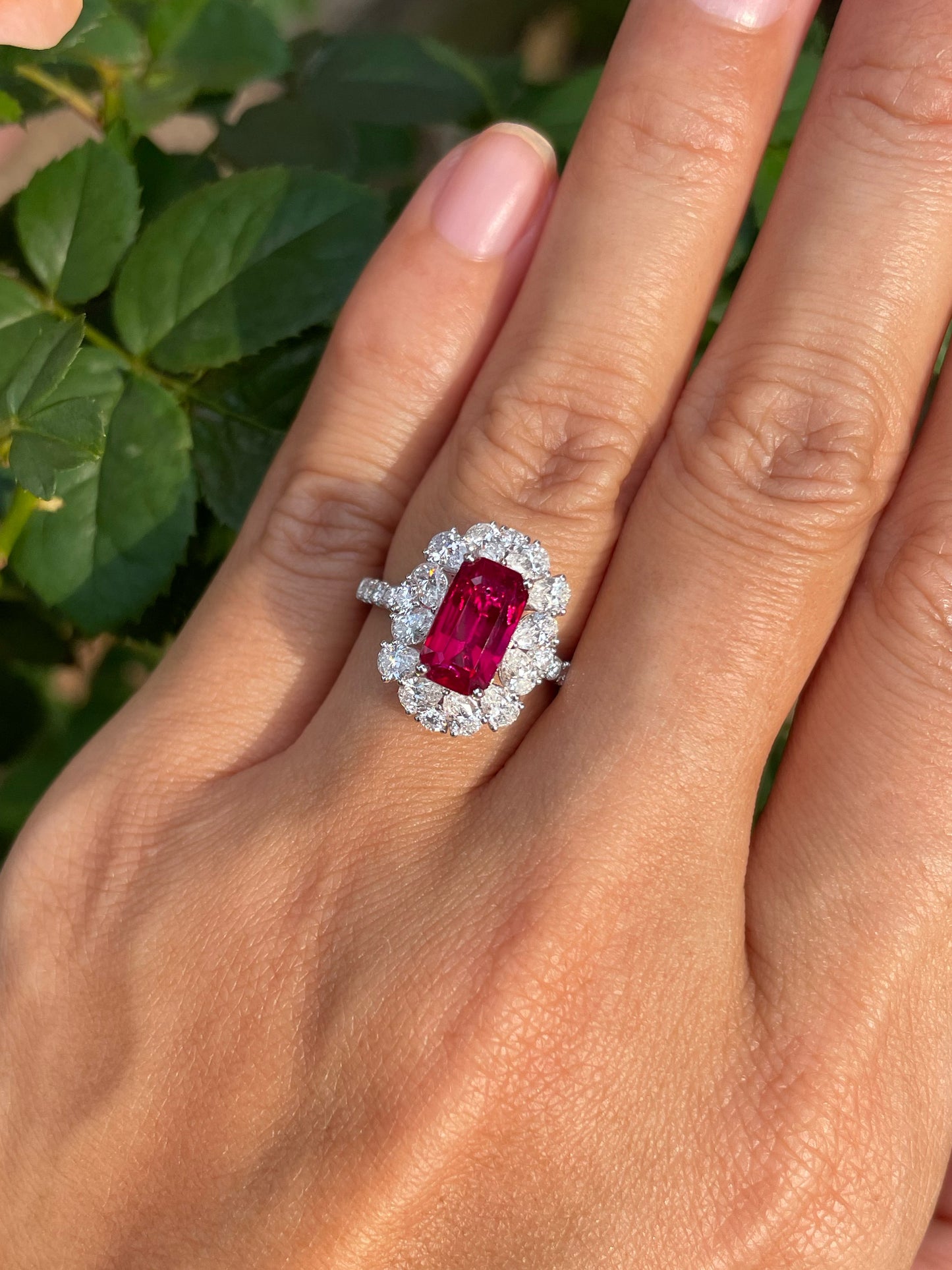 Unheated Ruby Ring - 2.51CT (NJR331)