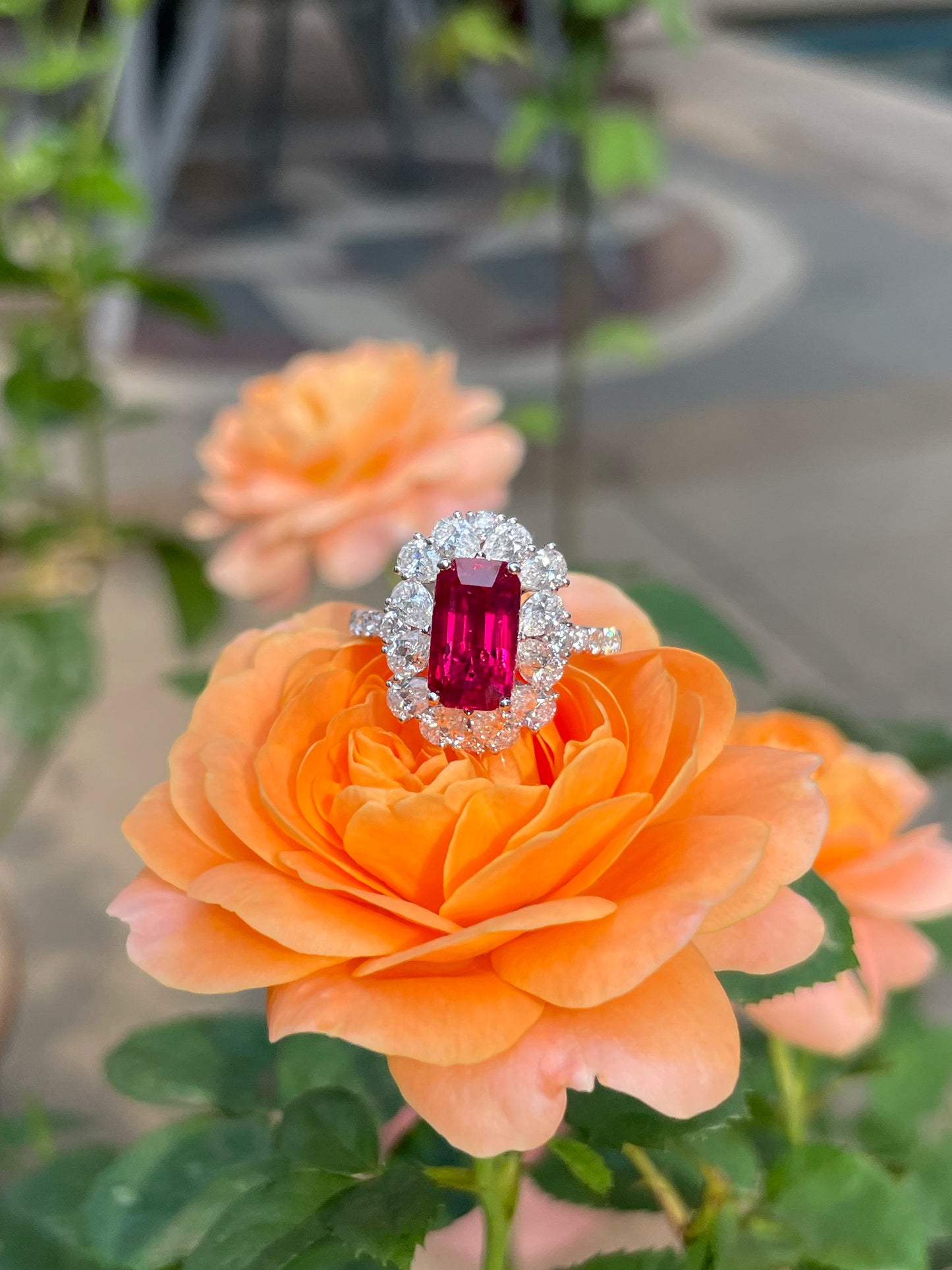 Unheated Ruby Ring - 2.51CT (NJR331)