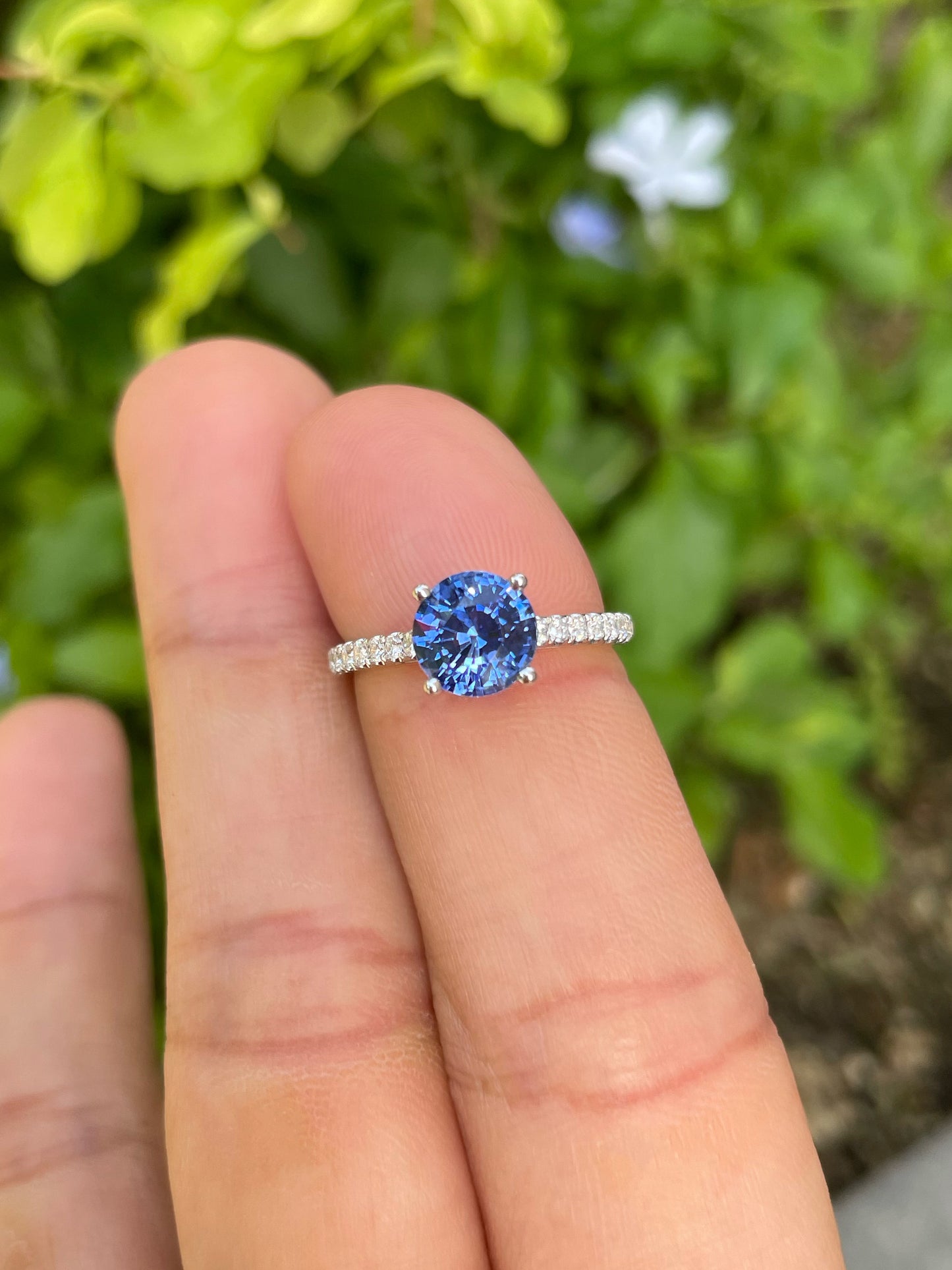 Natural Blue Sapphire Ring - 1.66CT (NJR350)