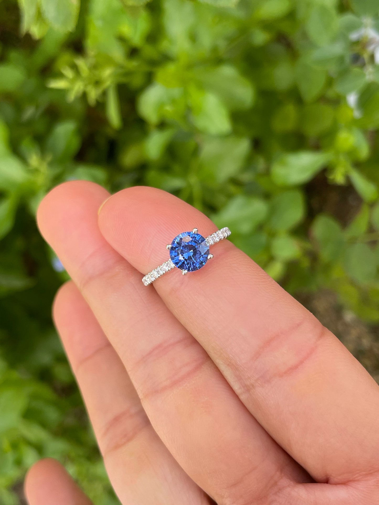 Natural Blue Sapphire Ring - 1.66CT (NJR350)