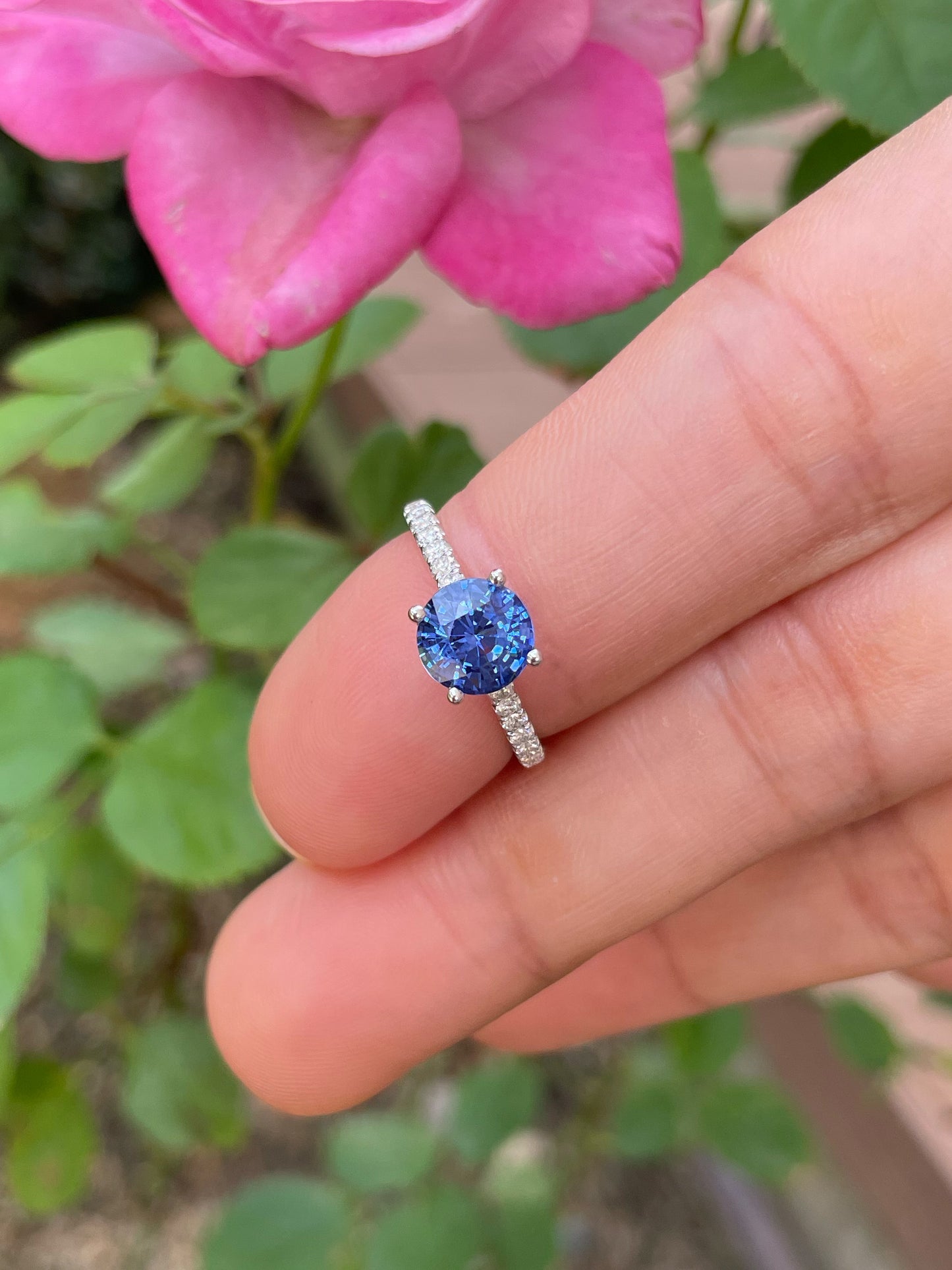 Natural Blue Sapphire Ring - 1.66CT (NJR350)