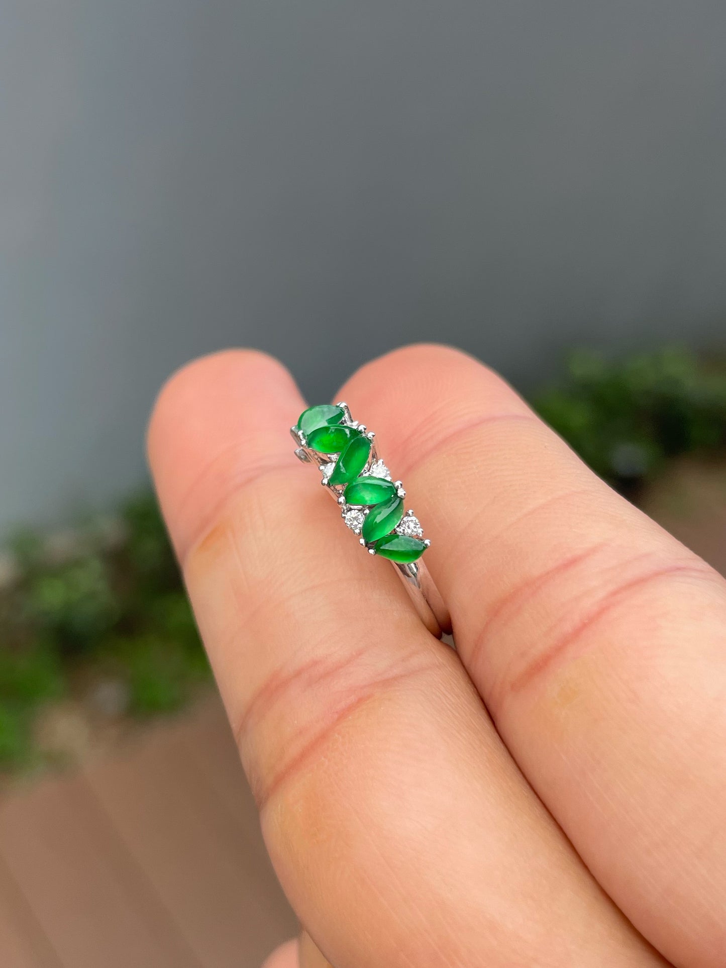Green Jade Ring (NJR353)