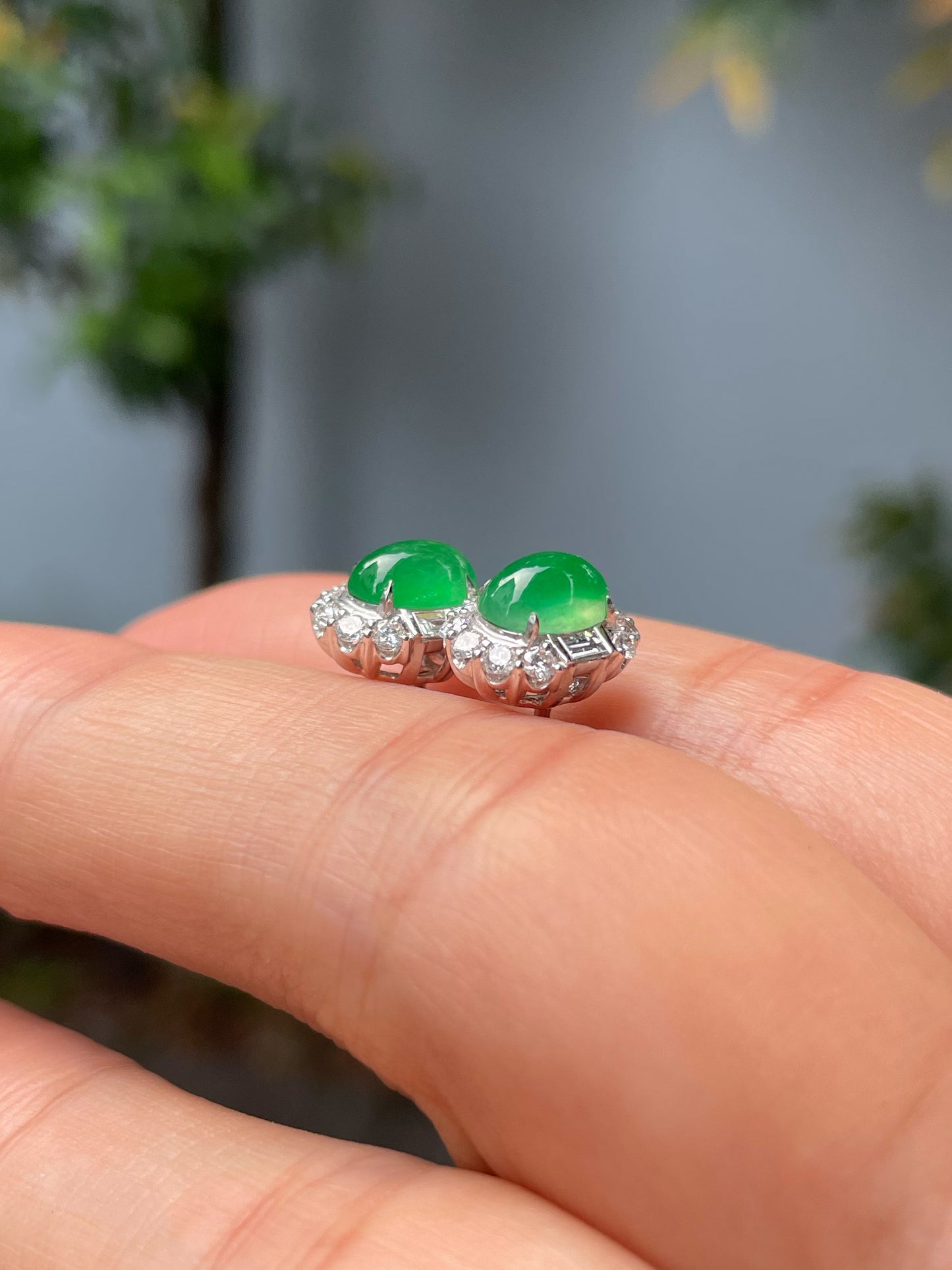 Icy Green Jadeite Cabochon Ring + Earrings (NJS003)