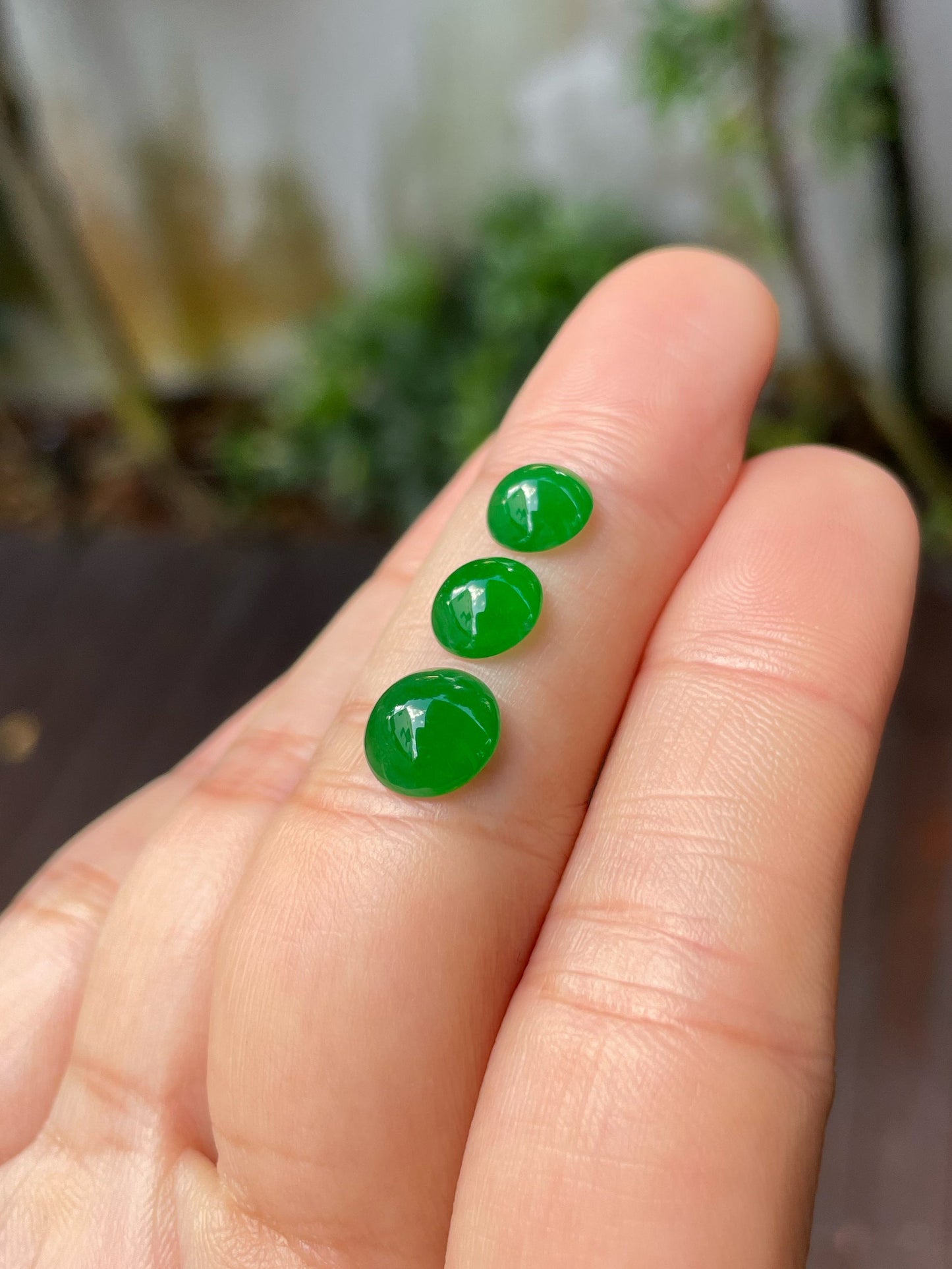 Green Jadeite Cabochons Set (NJS012)