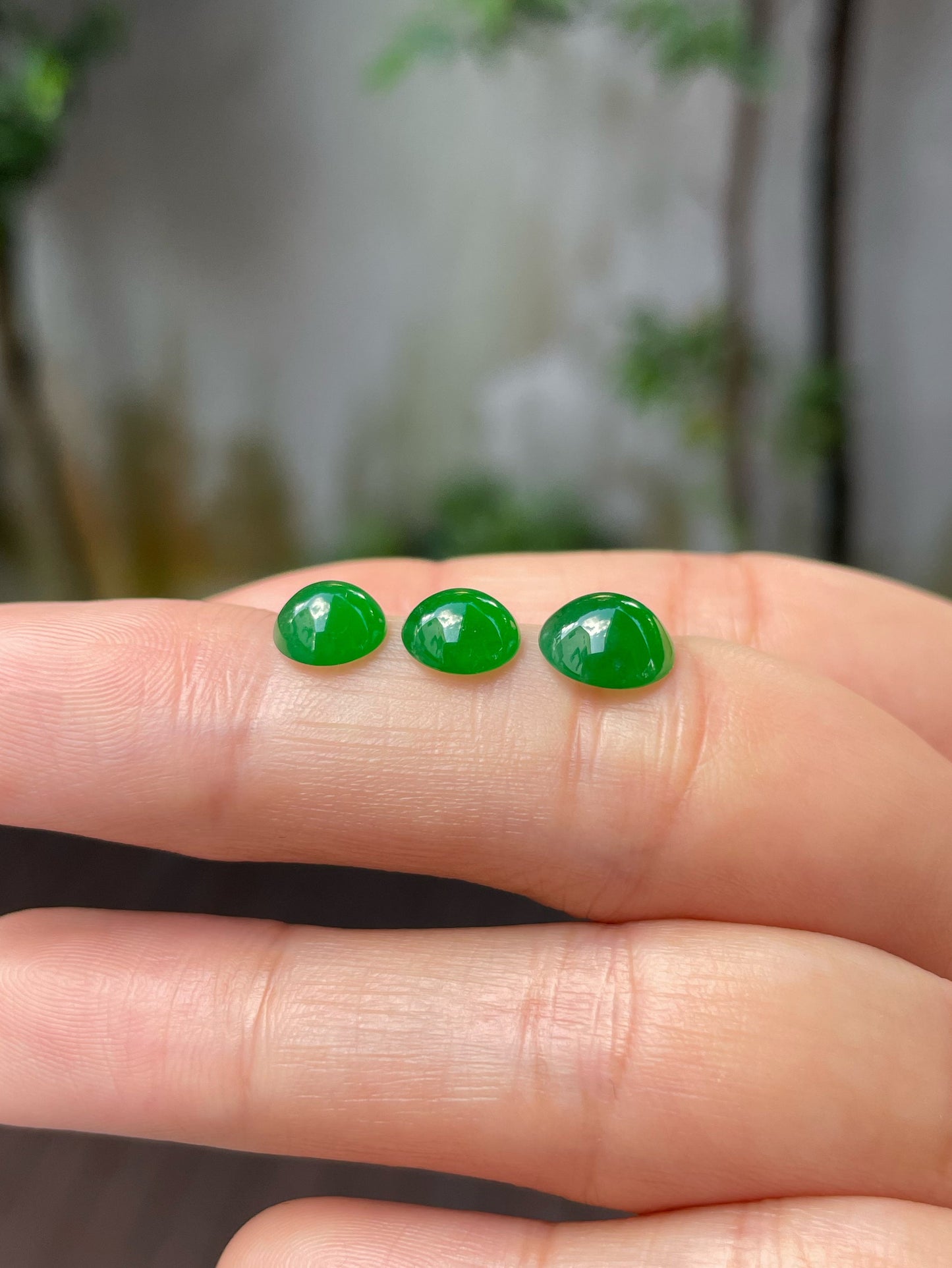 Green Jadeite Cabochons Set (NJS012)