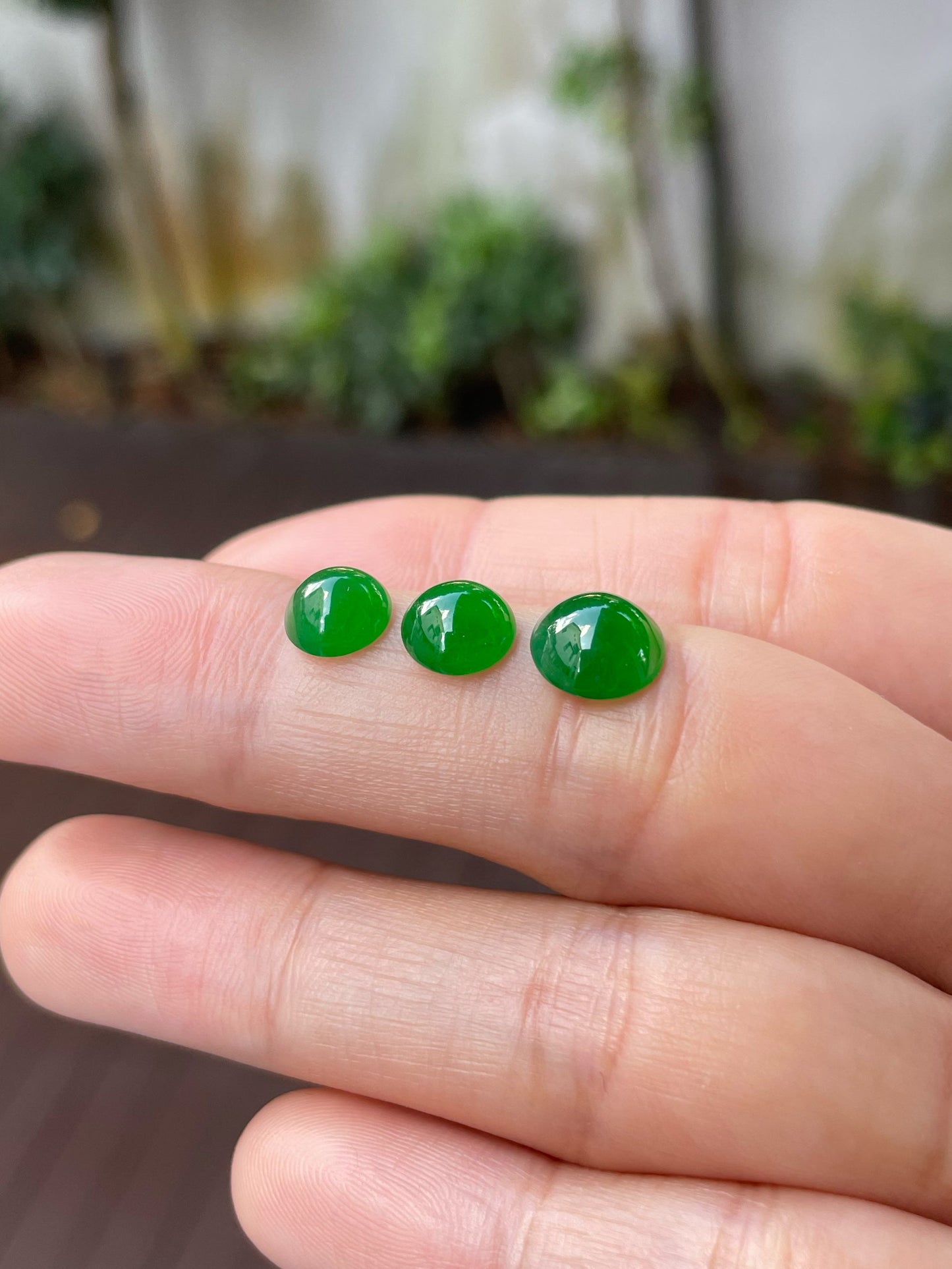 Green Jadeite Cabochons Set (NJS012)