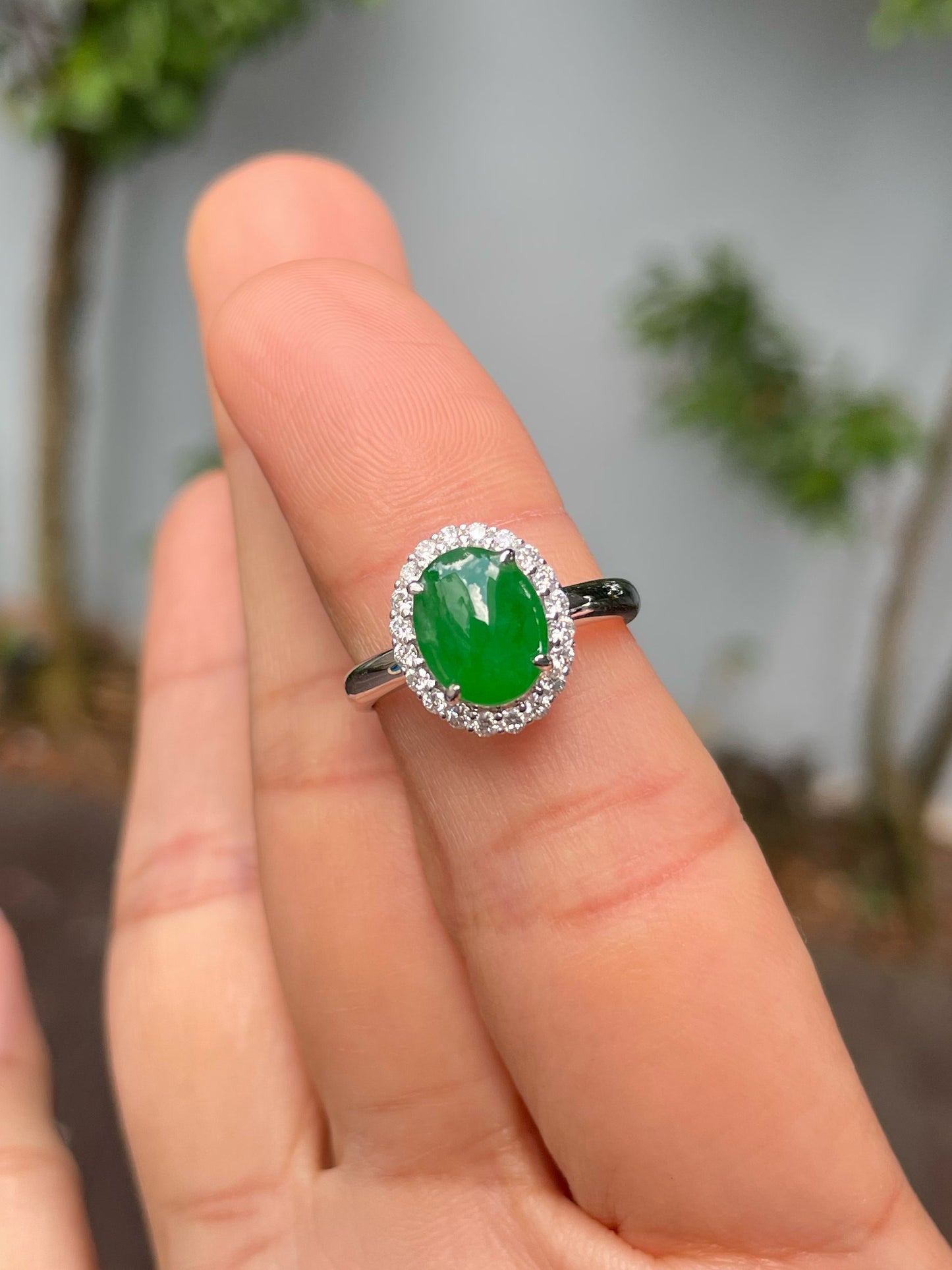 Green Jadeite Cabochons Set - Ring & Earrings (NJS013)