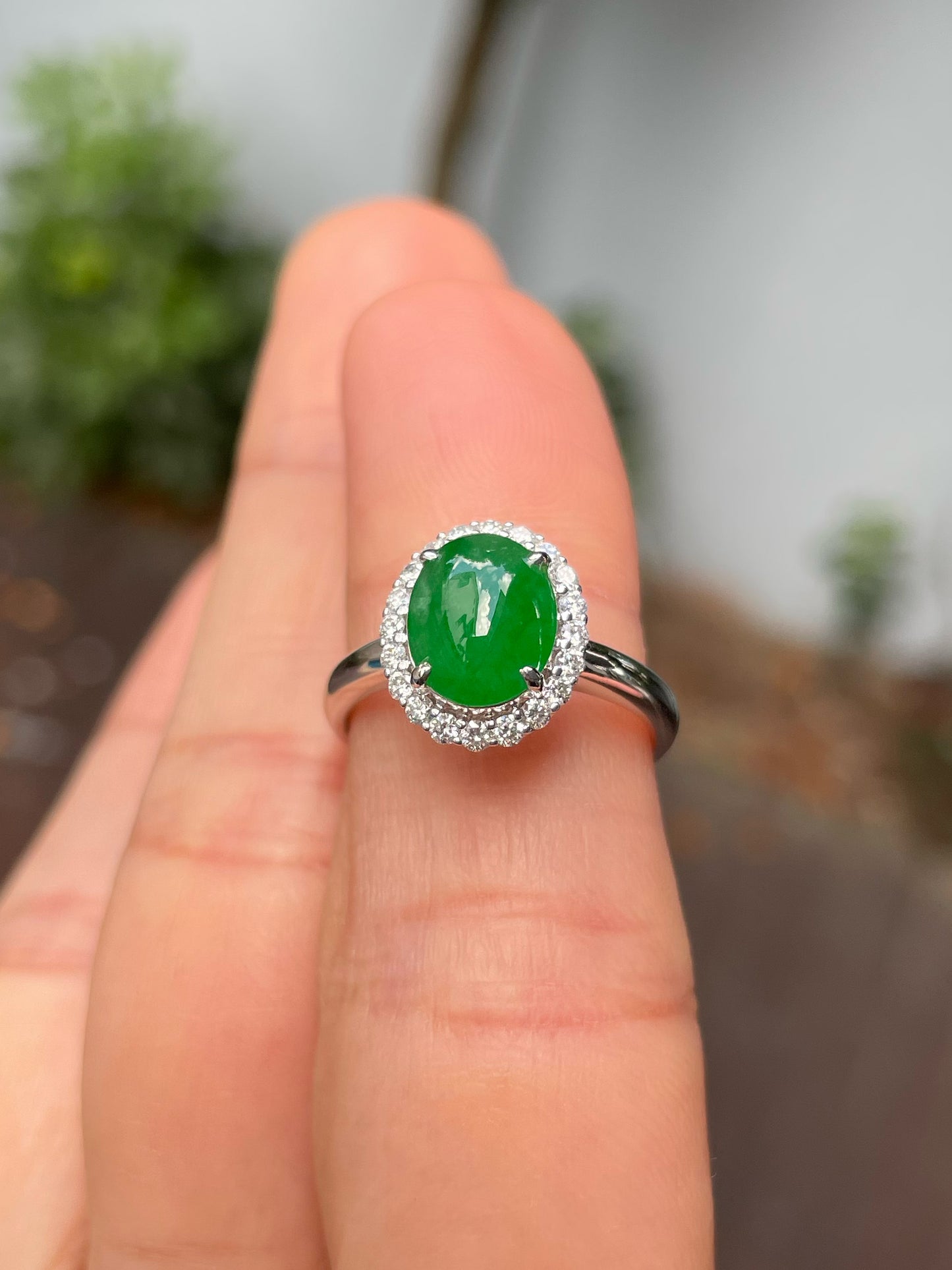 Green Jadeite Cabochons Set - Ring & Earrings (NJS013)