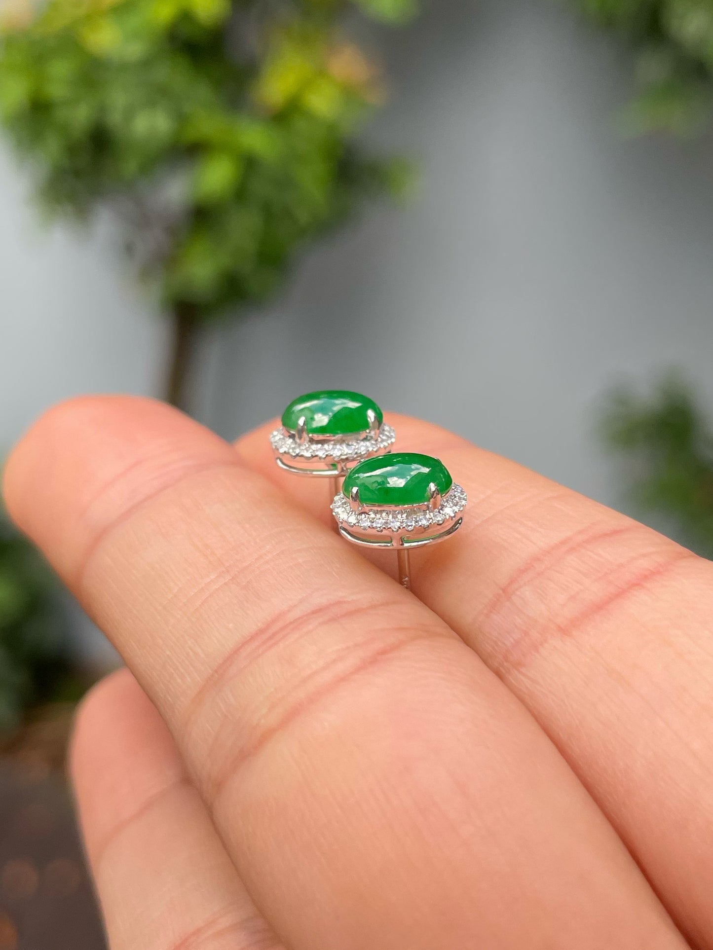 Green Jadeite Cabochons Set - Ring & Earrings (NJS013)