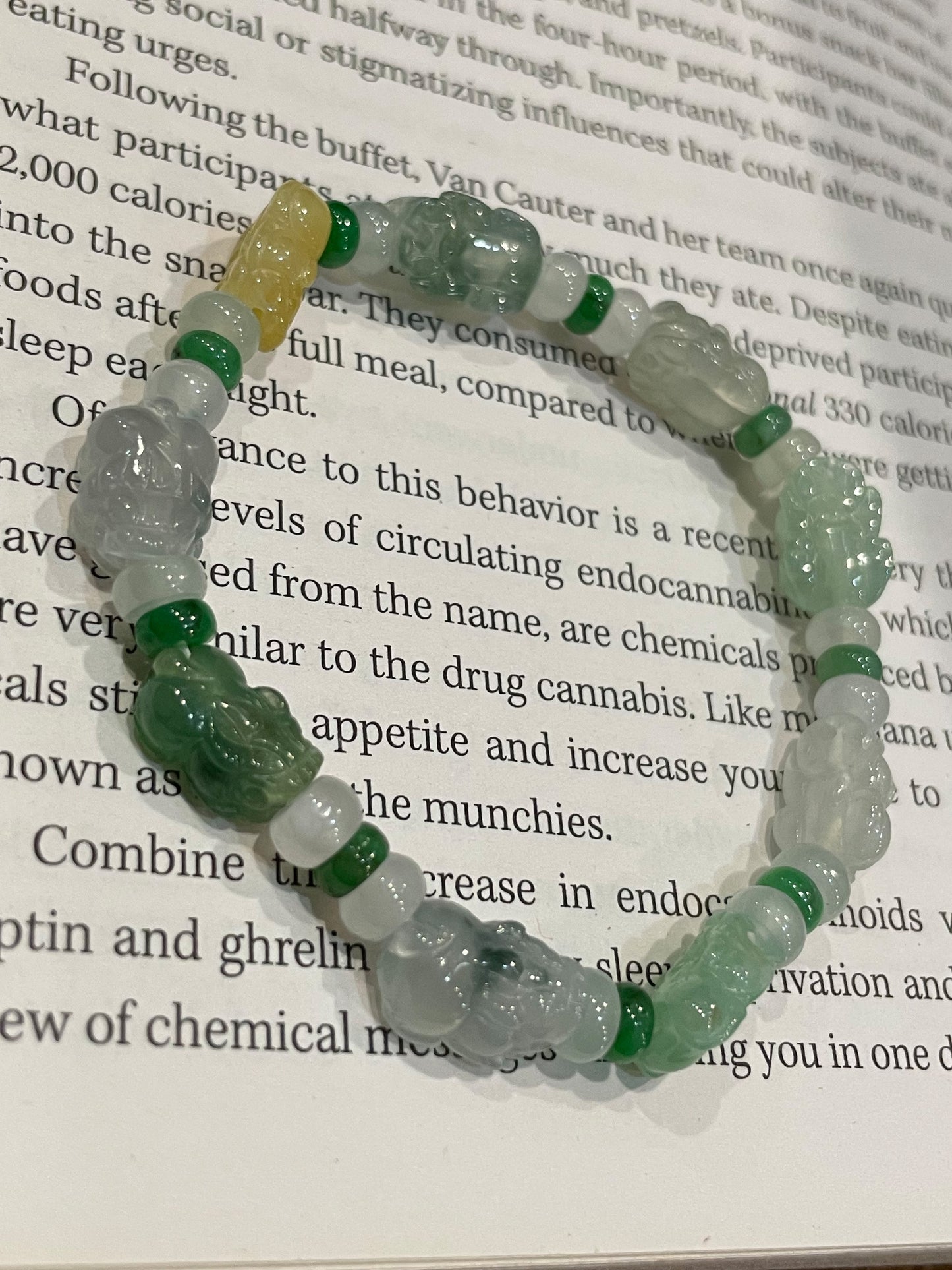 Jadeite Pixiu Bracelet (NJBA008)