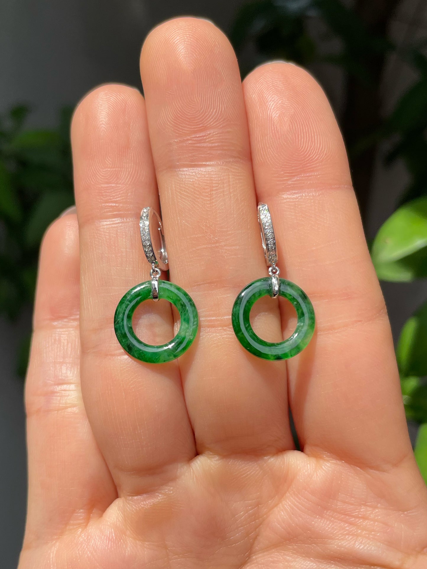 Dark Green Jadeite Earrings - Hoop Shaped (NJE005)