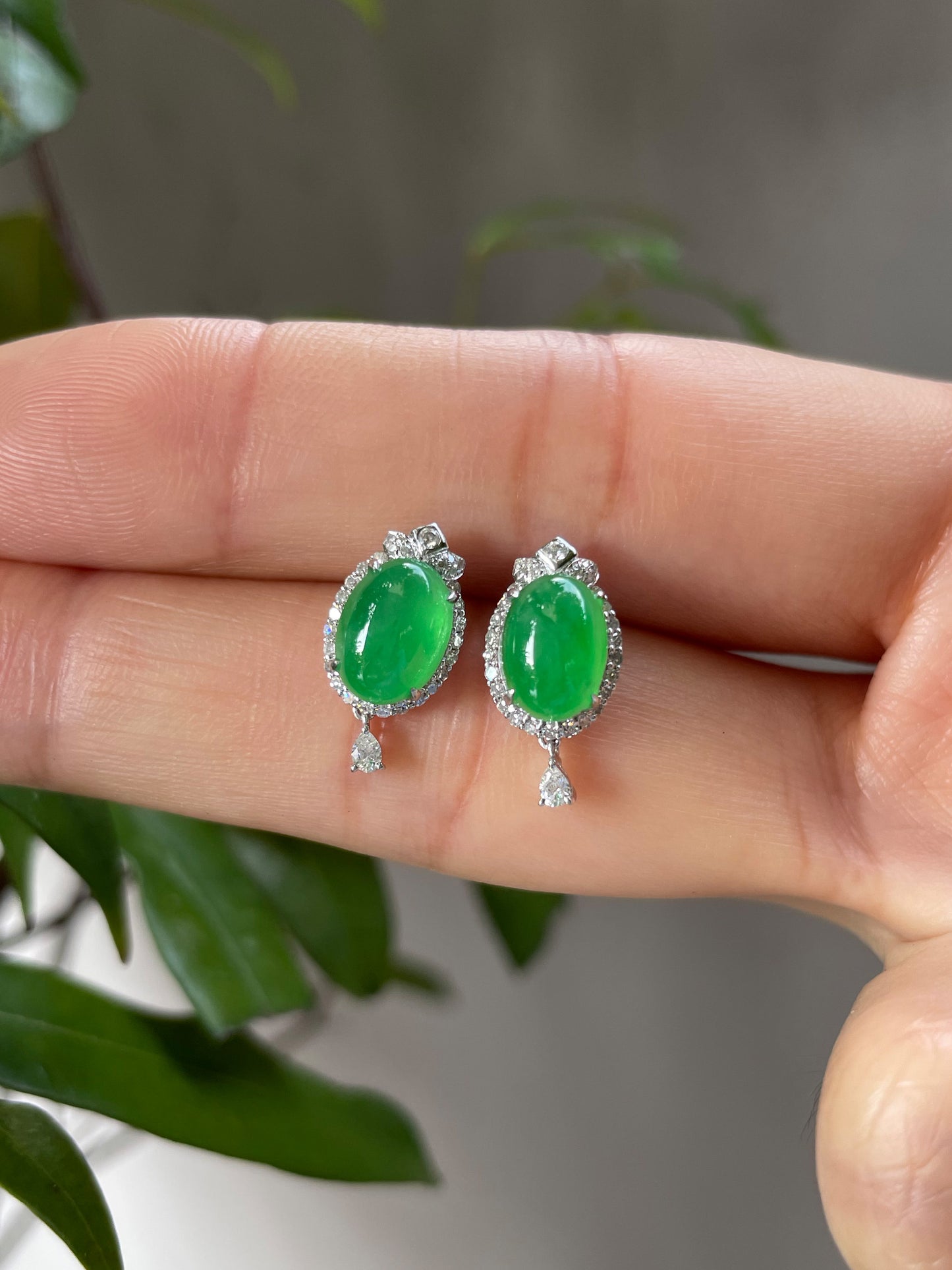 Icy Green Jadeite Cabochon Earrings (NJE023)