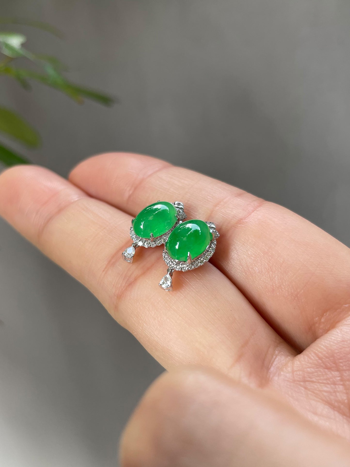 Icy Green Jadeite Cabochon Earrings (NJE023)