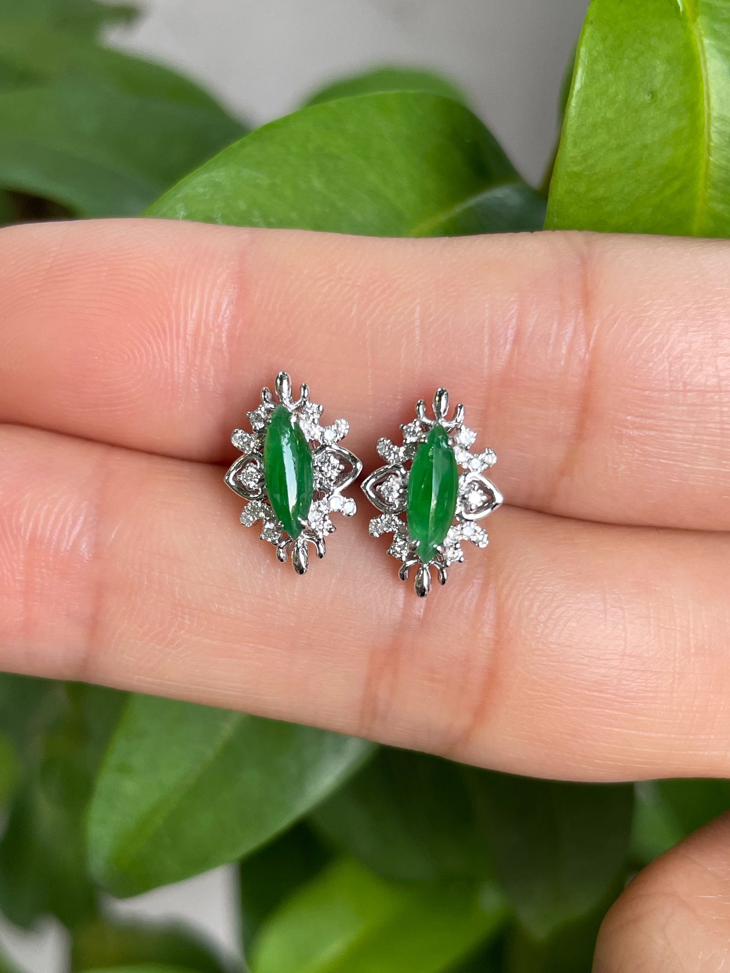 Green Jade Earrings - Marquise Cut (NJE067)