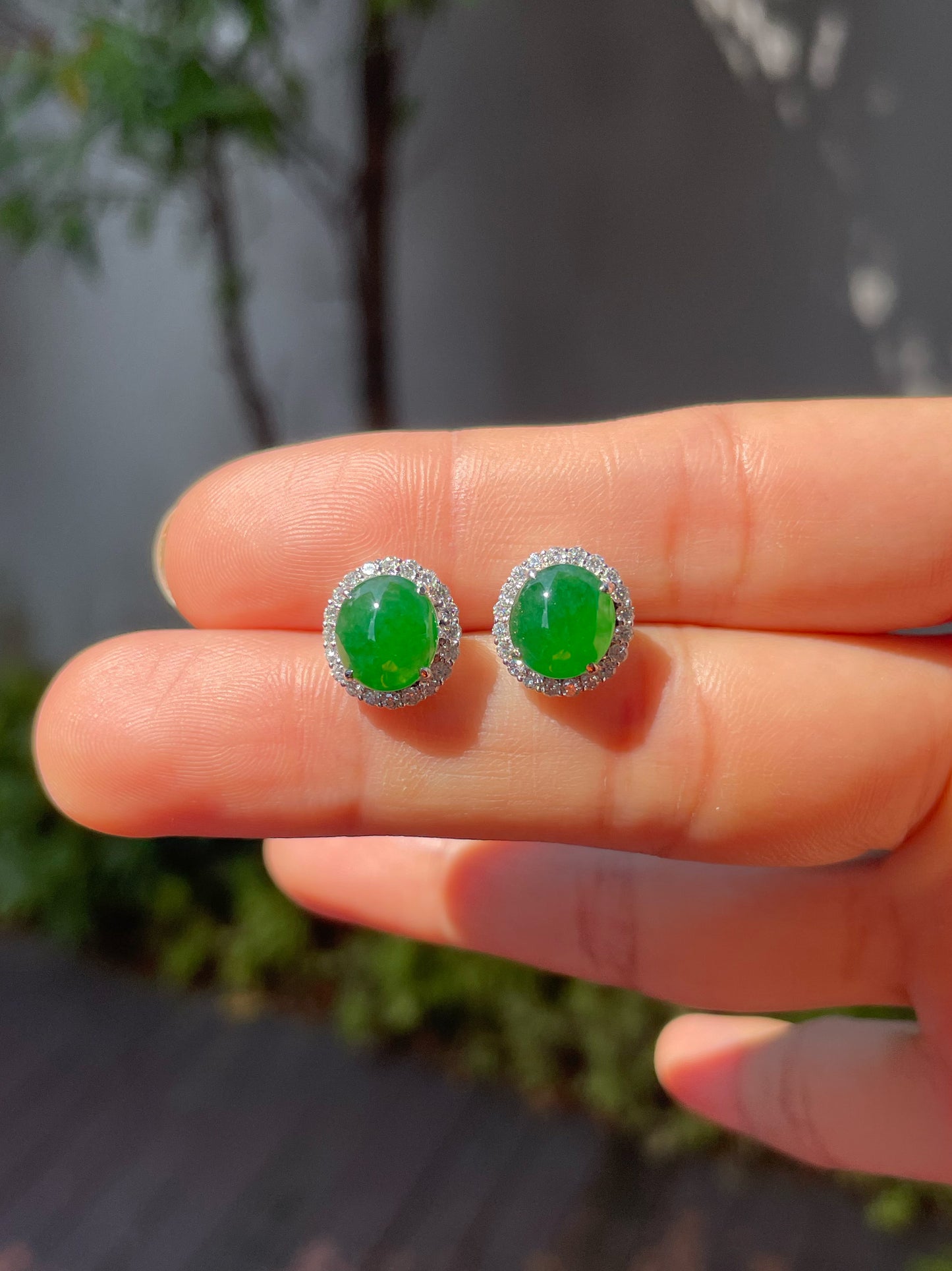 Green Jade Earrings - Cabochons (NJE091)