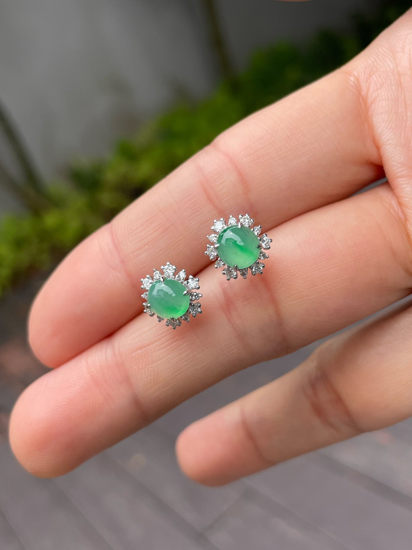 Icy Green Jadeite Cabochon Earrings (NJE102)