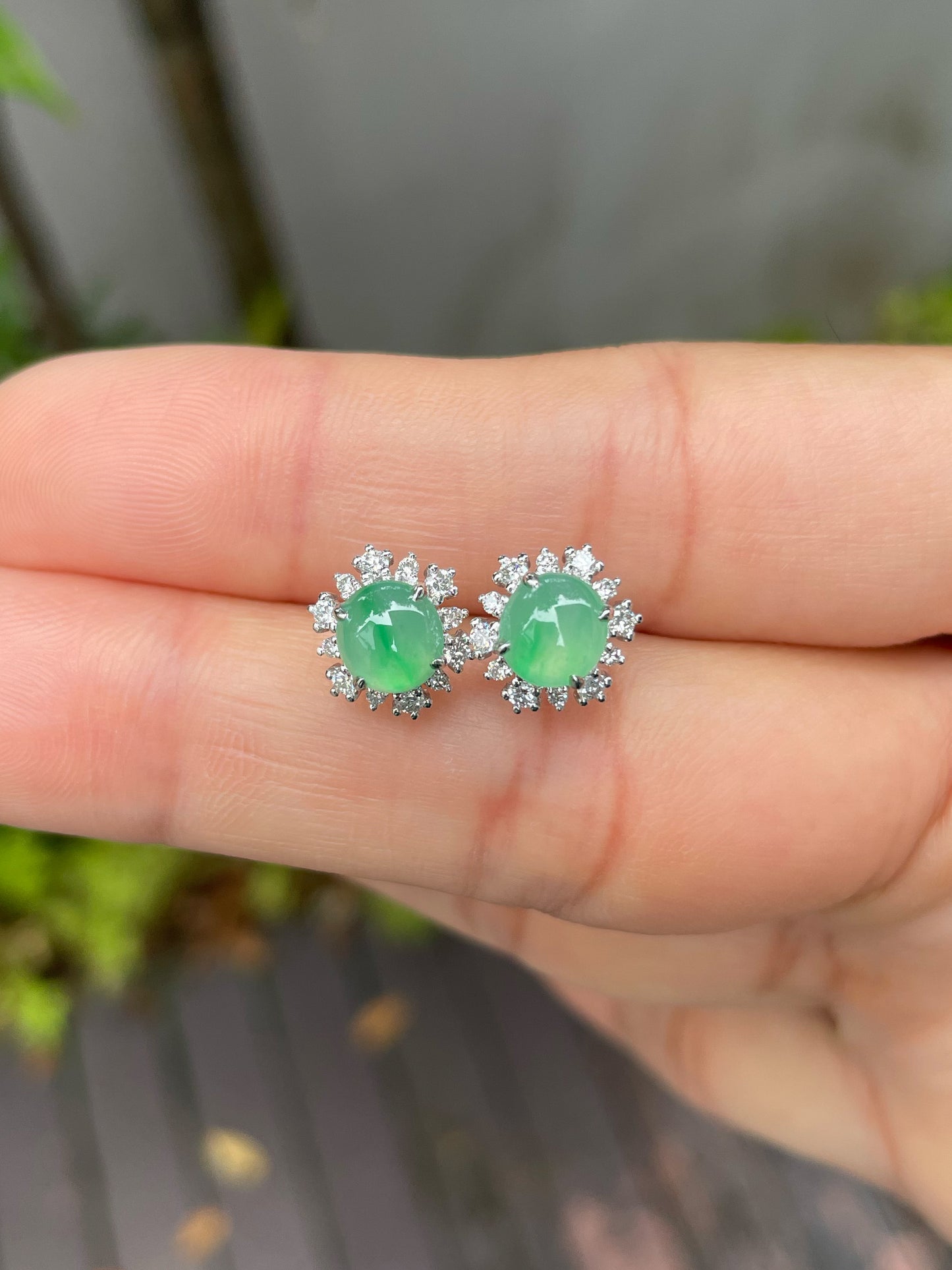 Icy Green Jadeite Cabochon Earrings (NJE102)