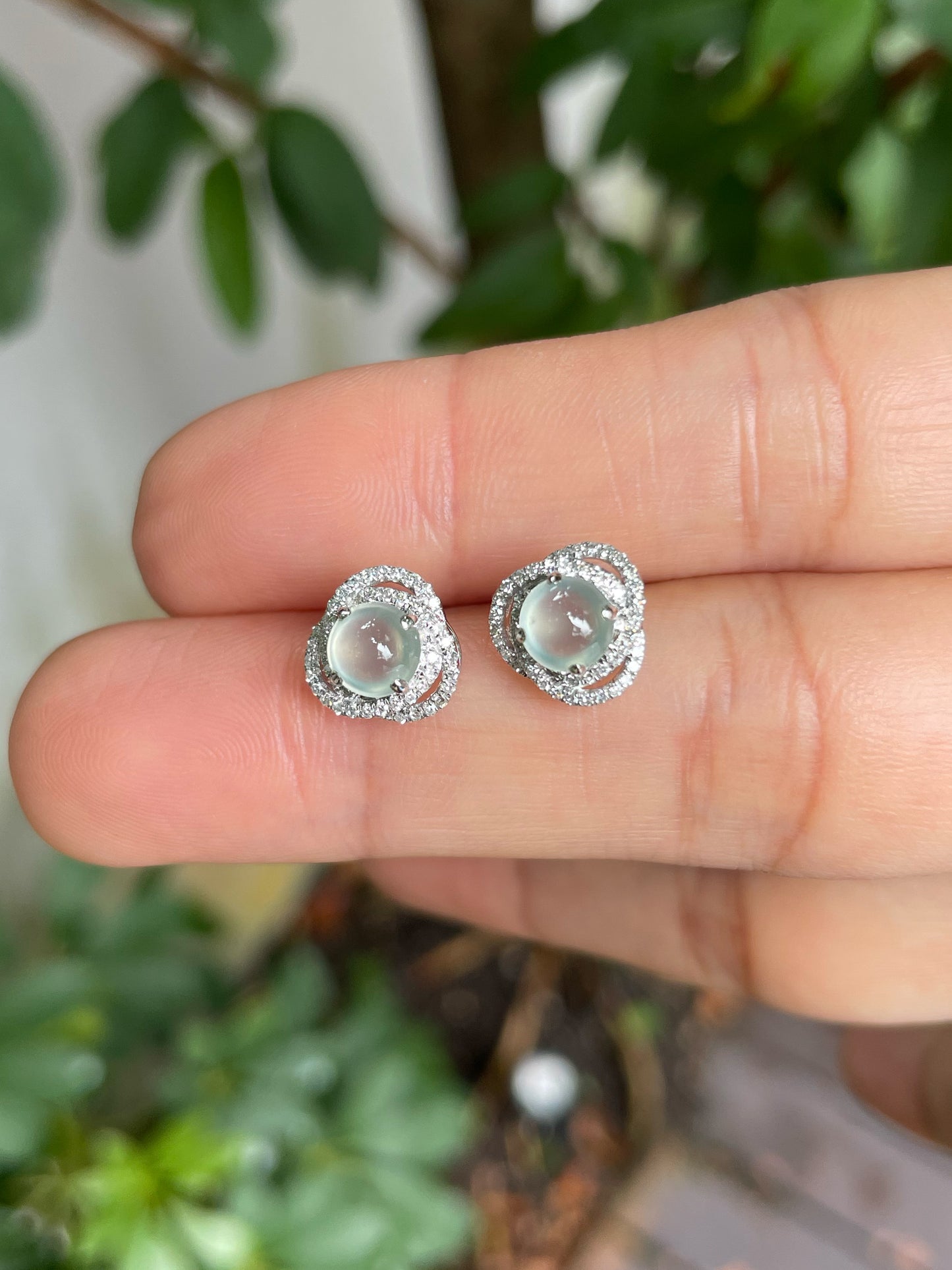 Glassy Jade Cabochon Earrings (NJE118)