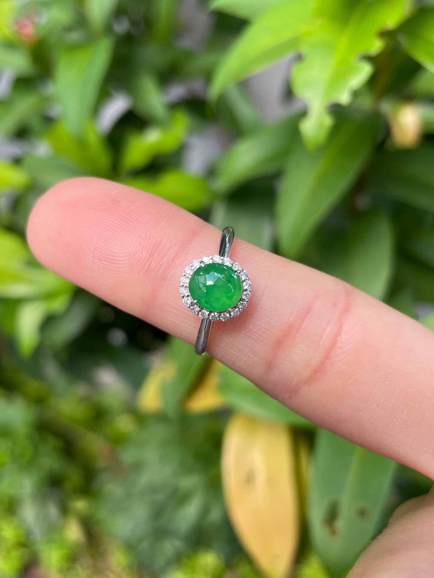 Green Jadeite Cabochon Ring (NJR010)