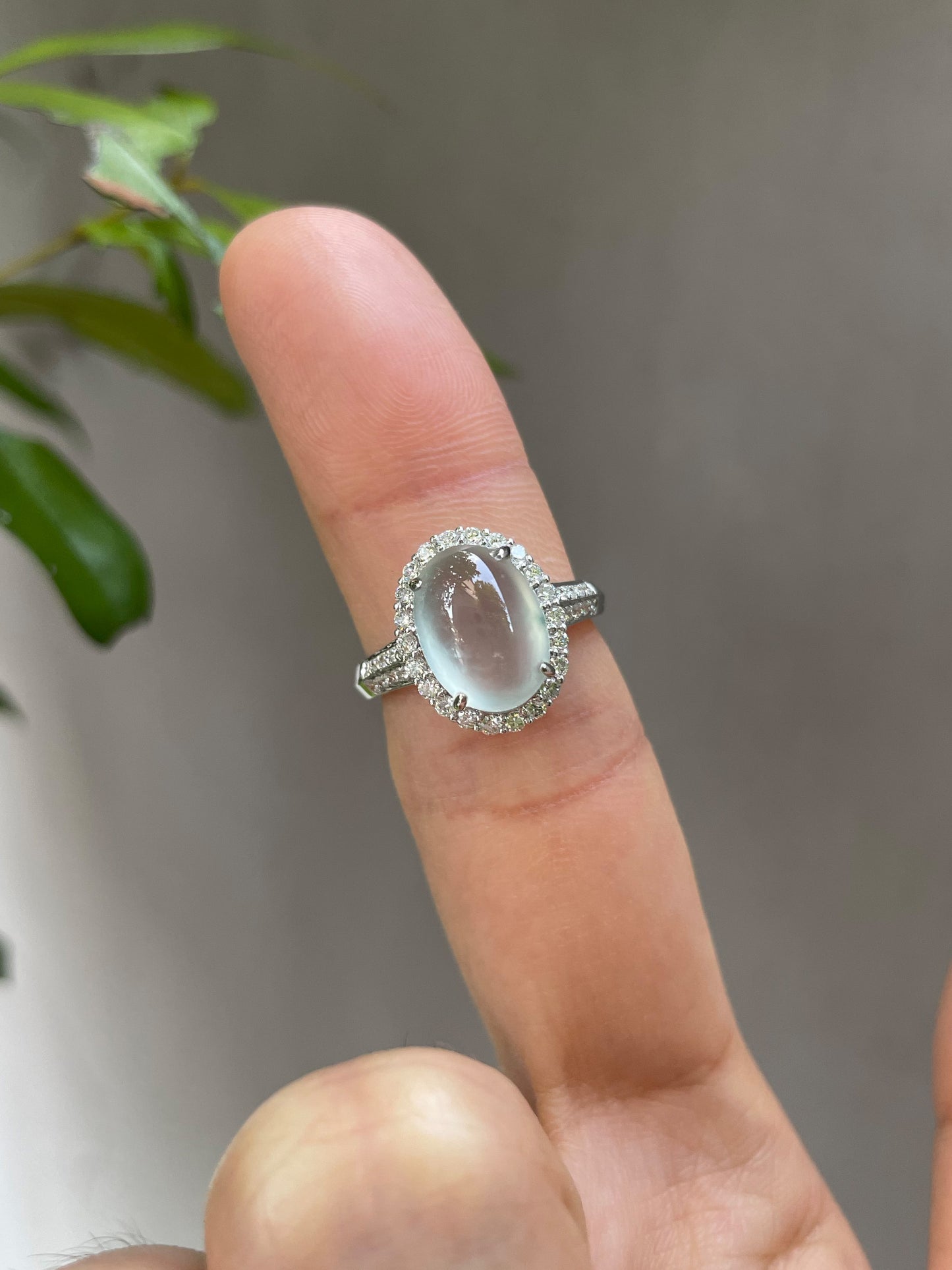 Glassy Jadeite Cabochon Ring (NJR015)