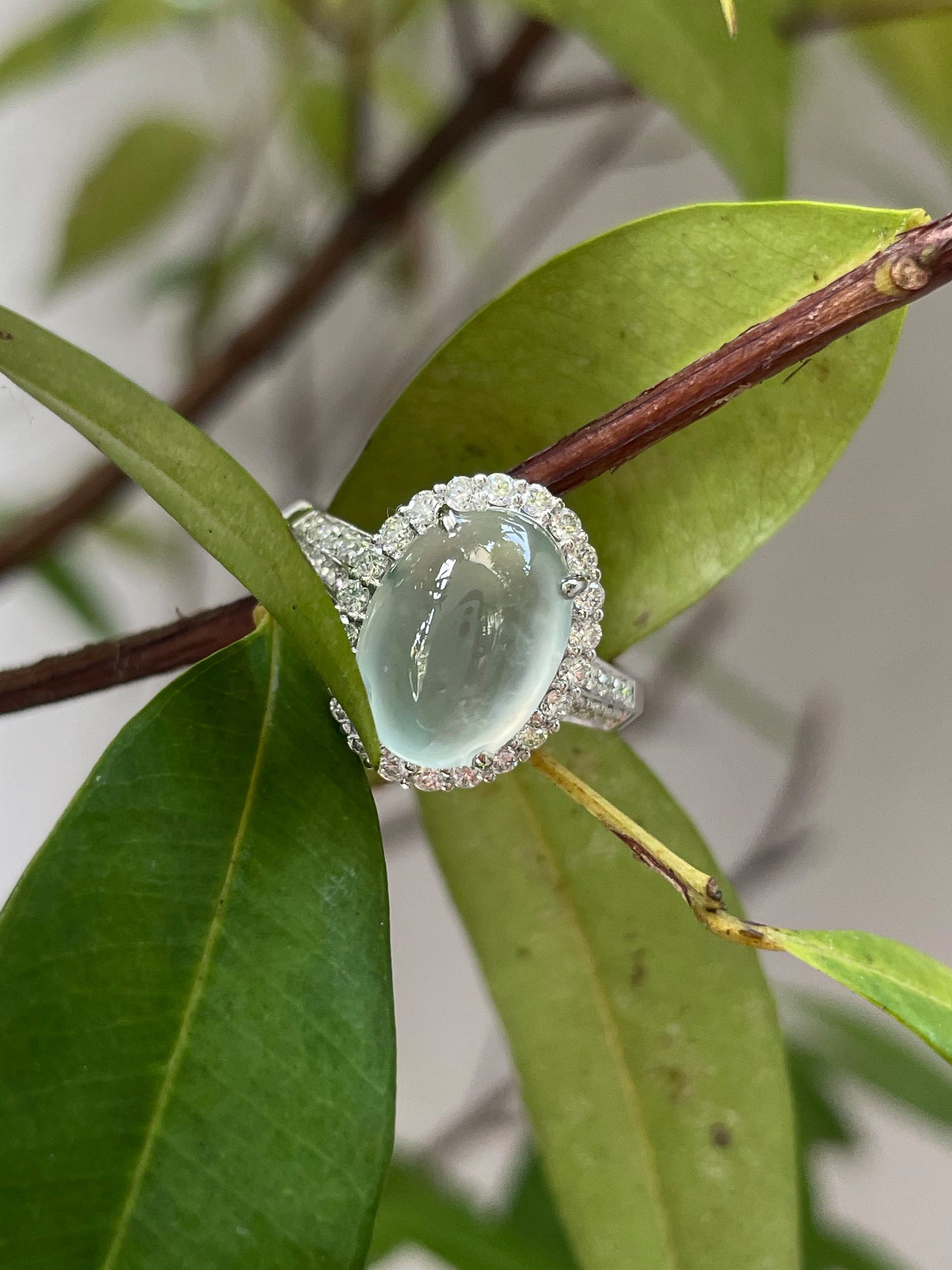 Glassy Jadeite Cabochon Ring (NJR015)