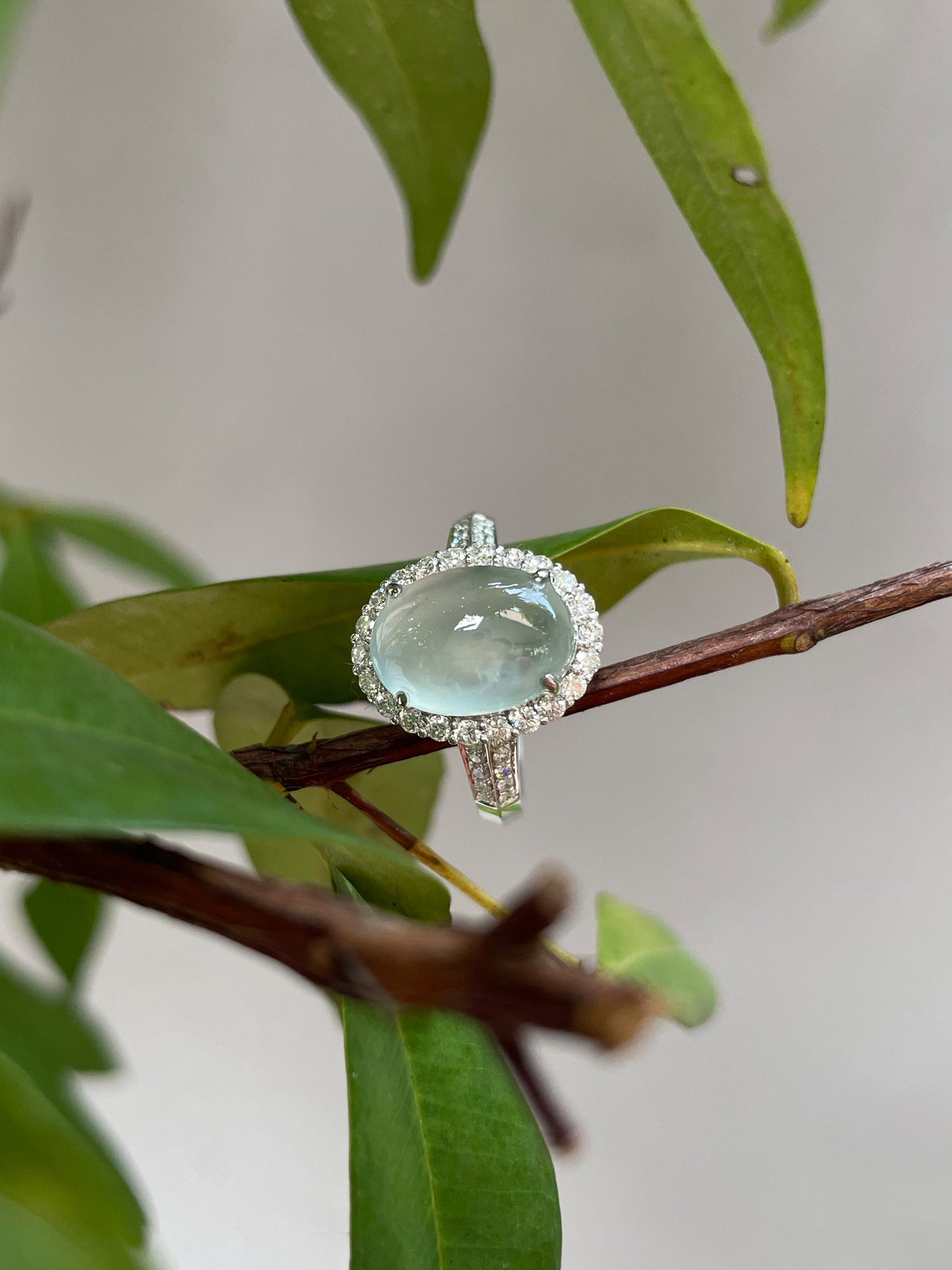 Glassy Jadeite Cabochon Ring (NJR015)