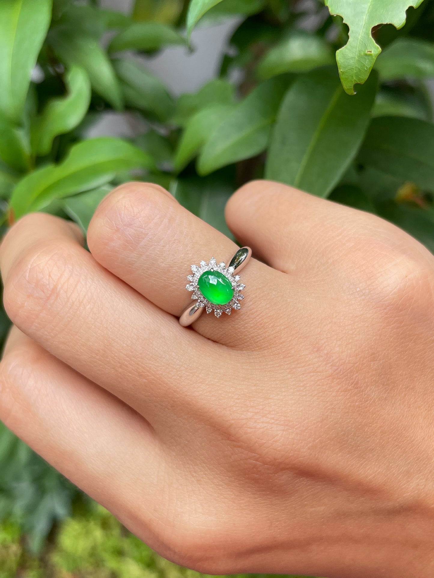 Green Jadeite Cabochon Ring (NJR017)
