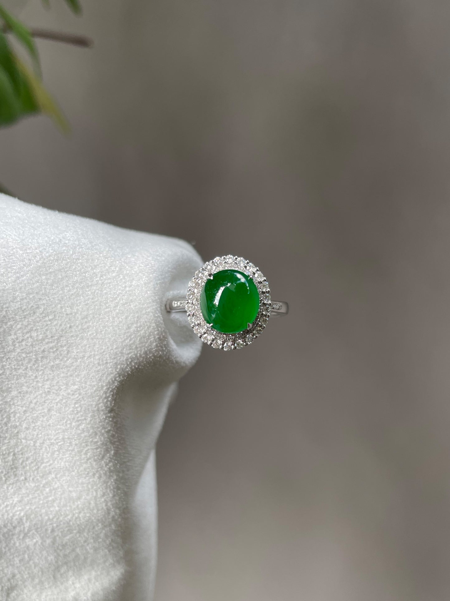 Green Jadeite Cabochon Ring (NJR024)