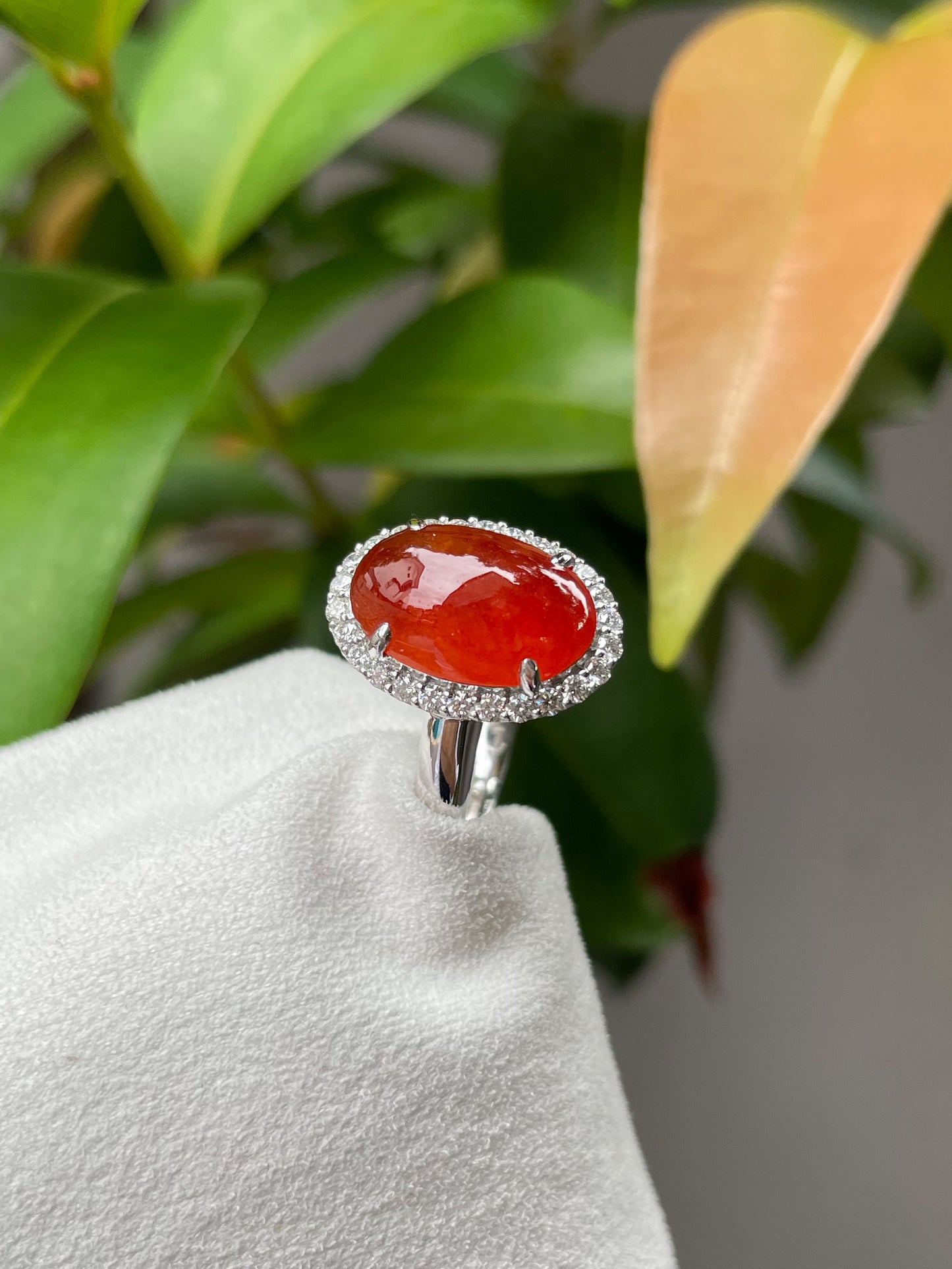 Red Jade Cabochon Ring (NJR042)