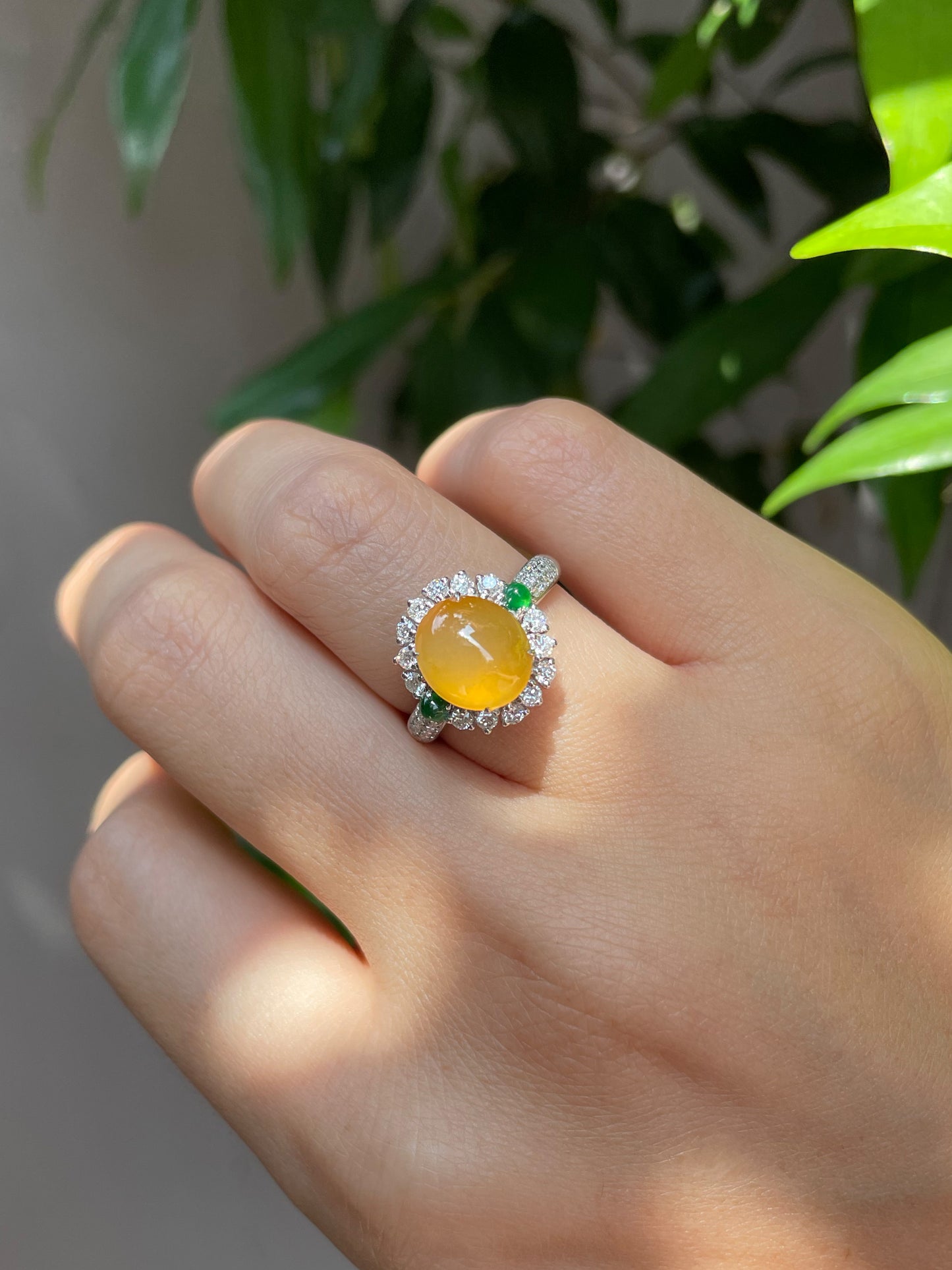 Yellow Jade Cabochon Ring (NJR044)
