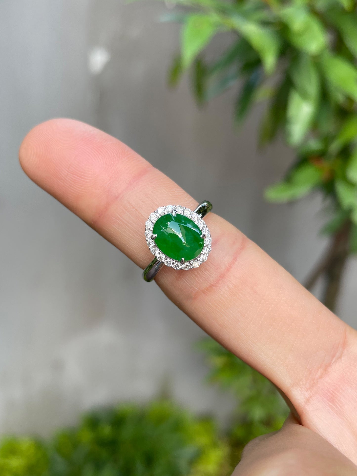 Green Jadeite Cabochon Ring (NJR098)