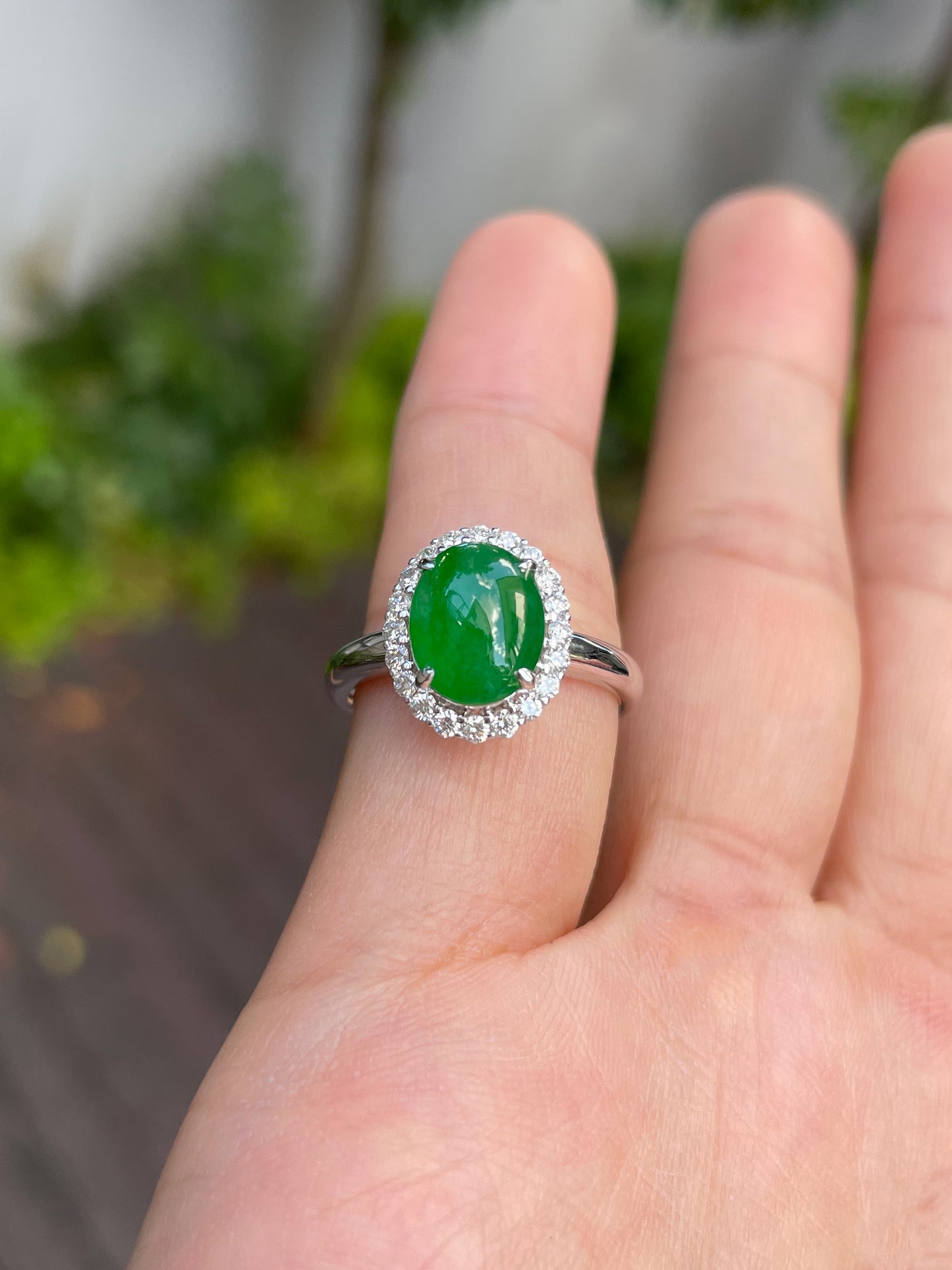 Green Jadeite Cabochon Ring (NJR098)