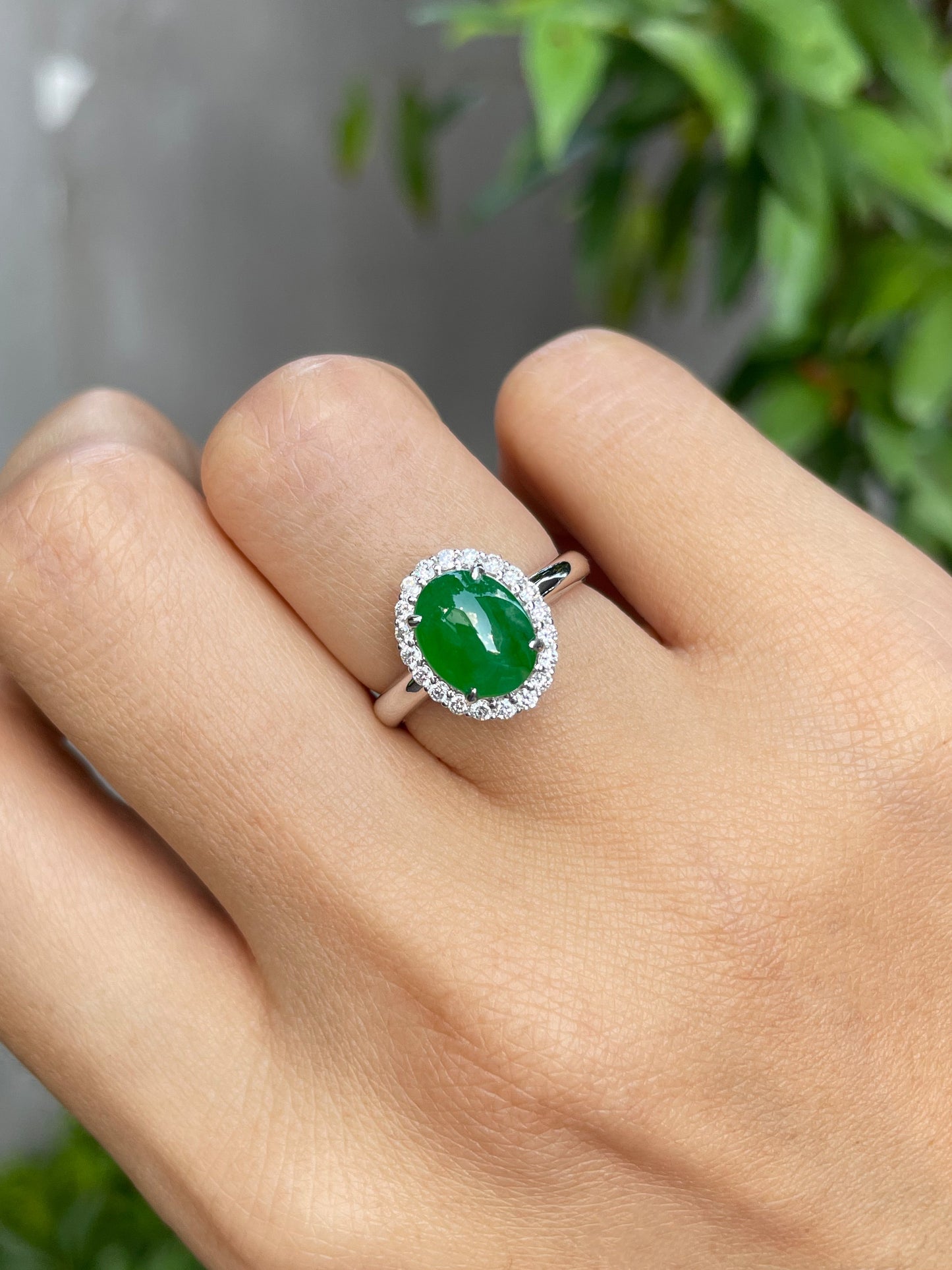 Green Jadeite Cabochon Ring (NJR098)