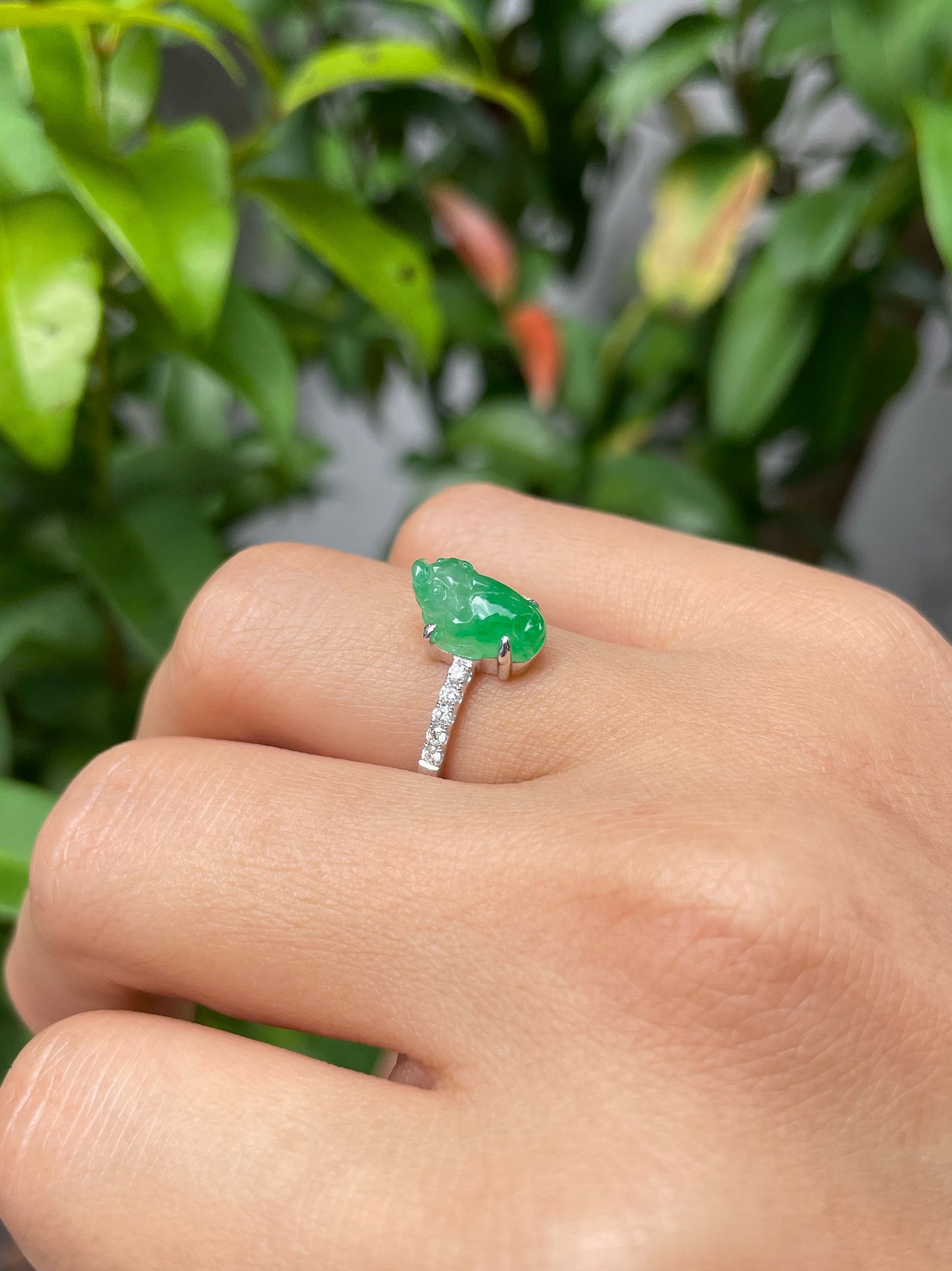 Green Jade Ring - Three Legged Toad (NJR104)