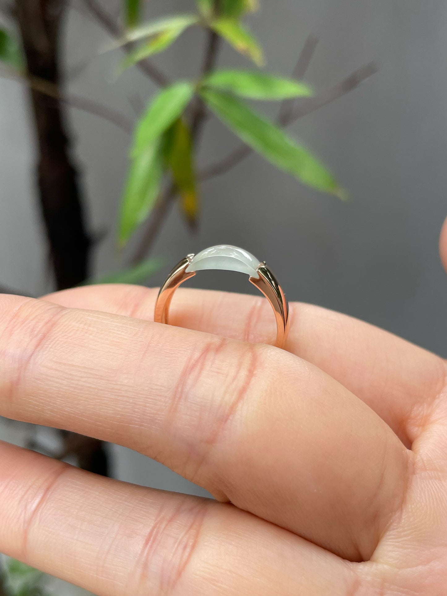 Icy Jade Ring (NJR119)