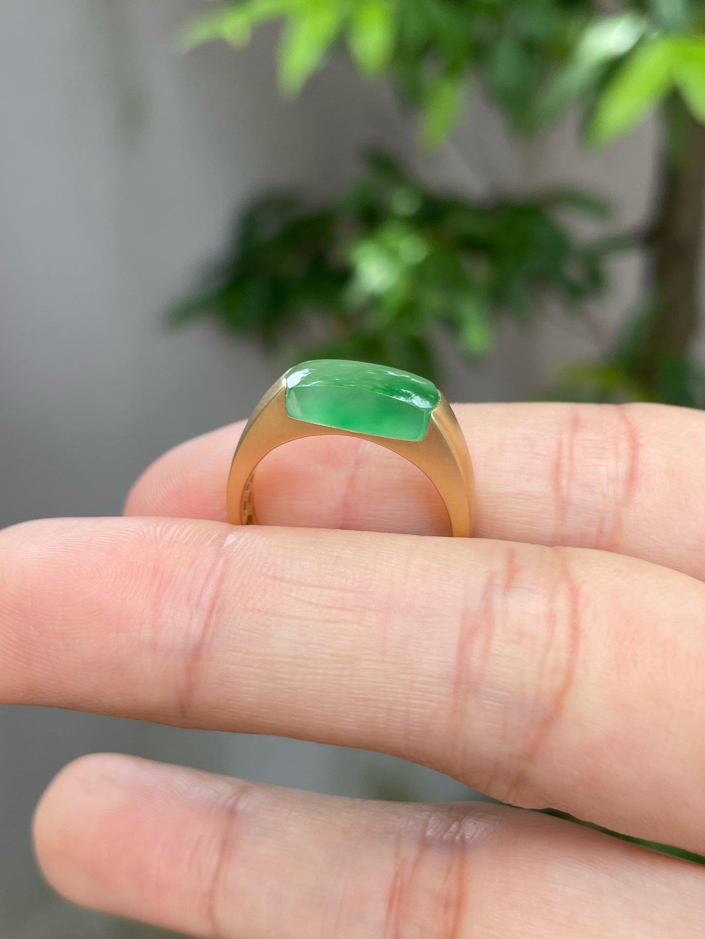 Icy Green Jade Ring (NJR129)
