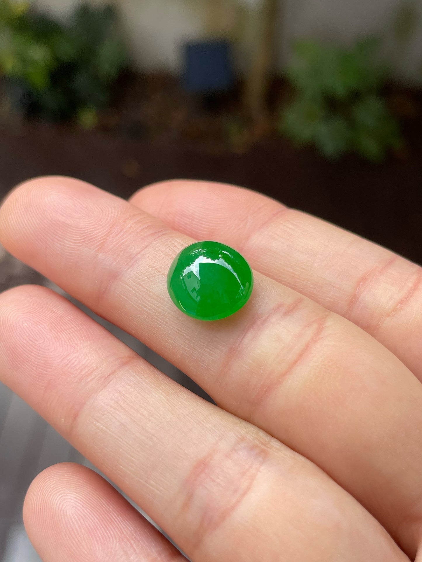 Green Jade Cabochon Ring / Pendant (NJR148)