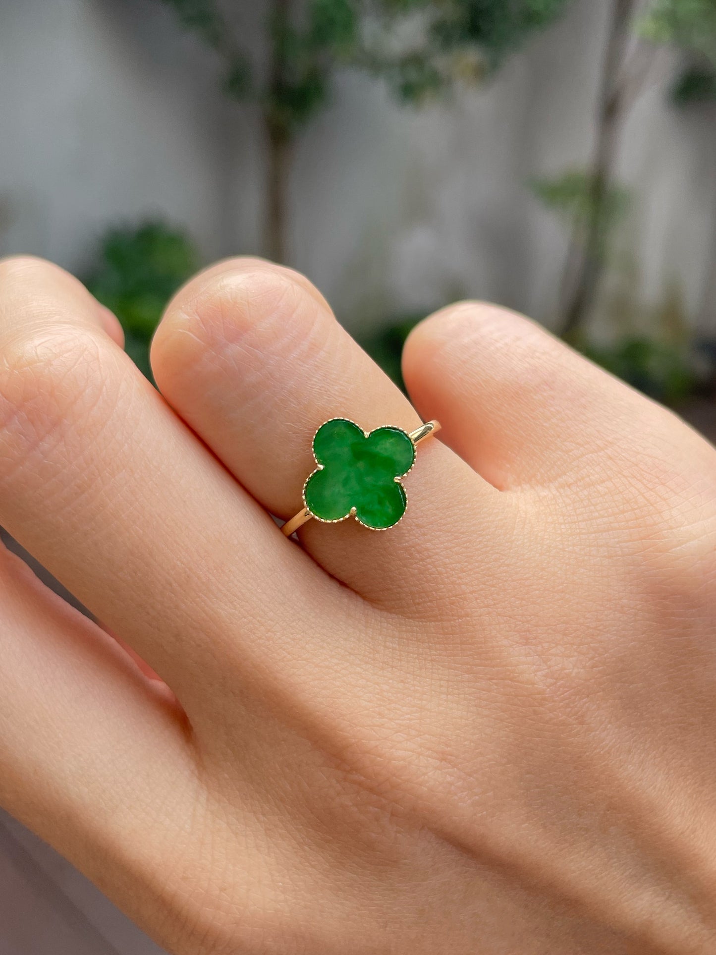 Green Clover Jadeite Ring & Earrings (NJS009)