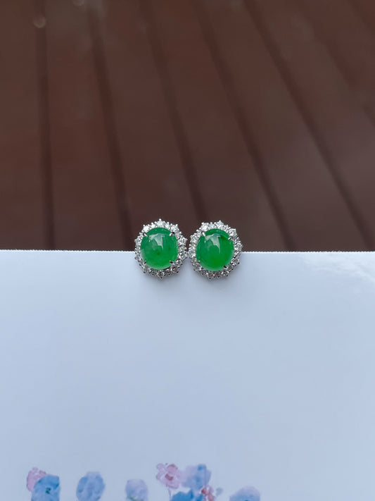 Green Jade Earrings - Cabochons (NJE119)